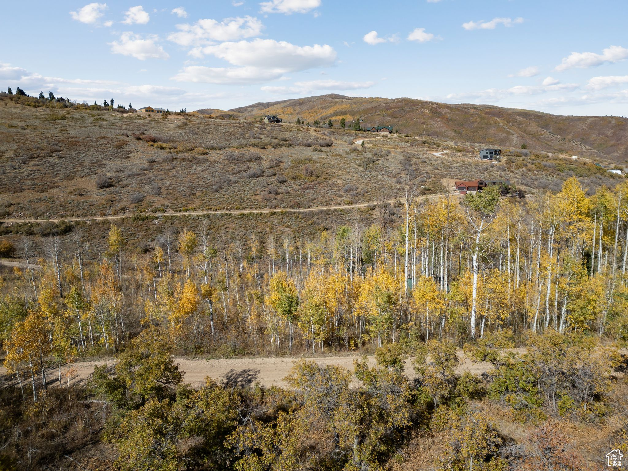 FOREST MEADOW RANCH SUBDIVISION - Land
