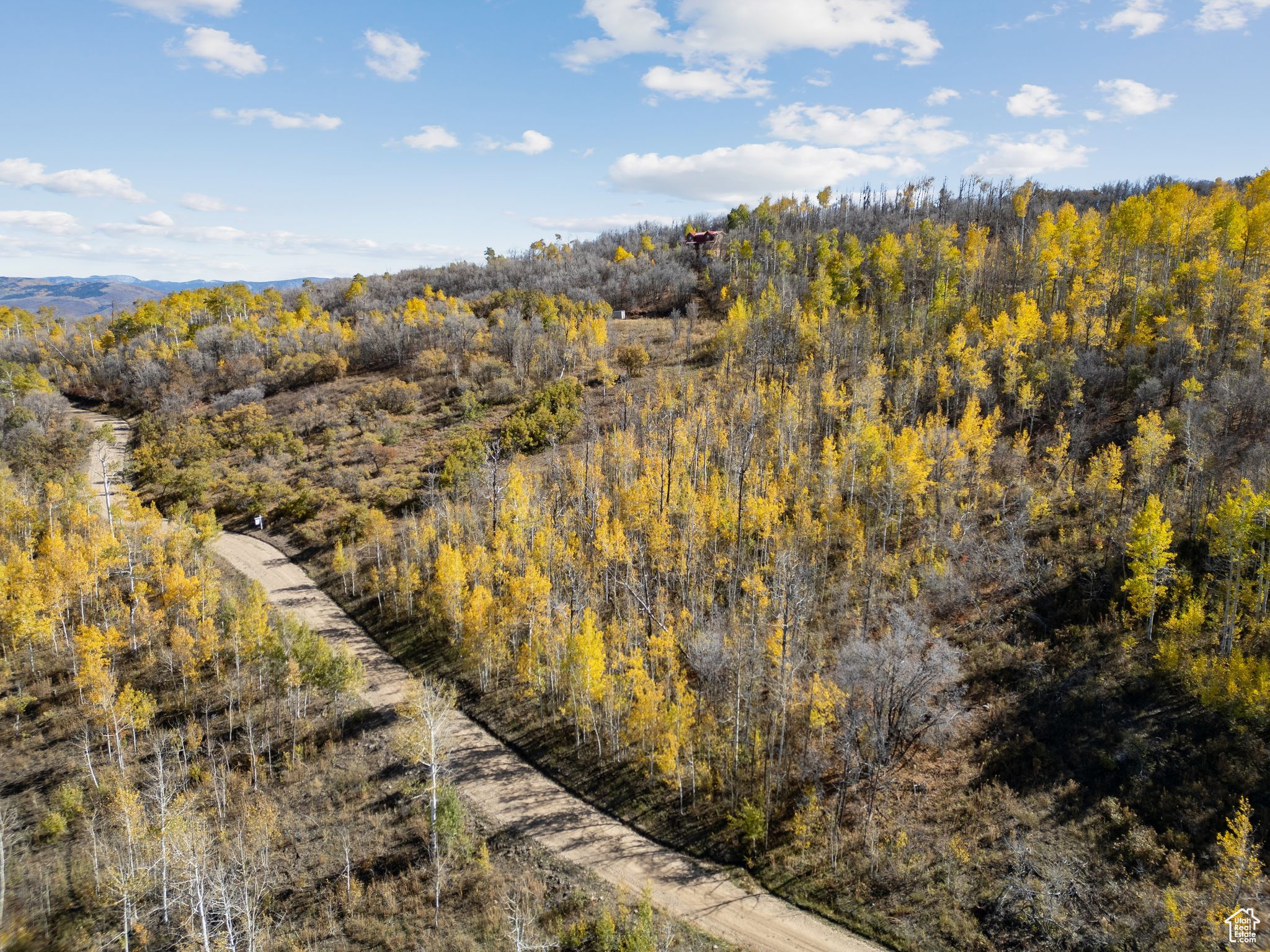 FOREST MEADOW RANCH SUBDIVISION - Land