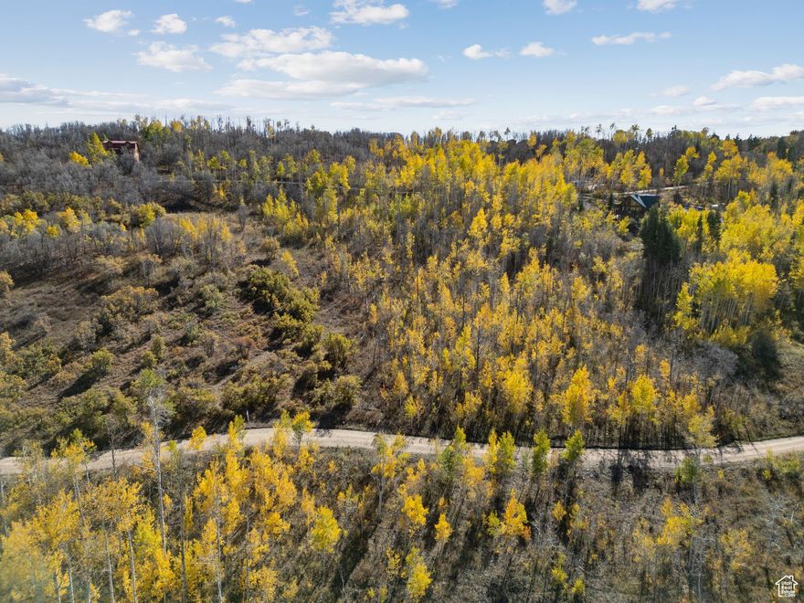 Located in Tollgate Canyon just minutes from Park City this secluded, gently sloped 2.6 acre lot is covered in aspen quakies and due to its gentle slope is extremely buildable. With massive East facing views this oversized Tollgate Canyon lot would be the perfect build site for your new mountain retreat or full time residence.