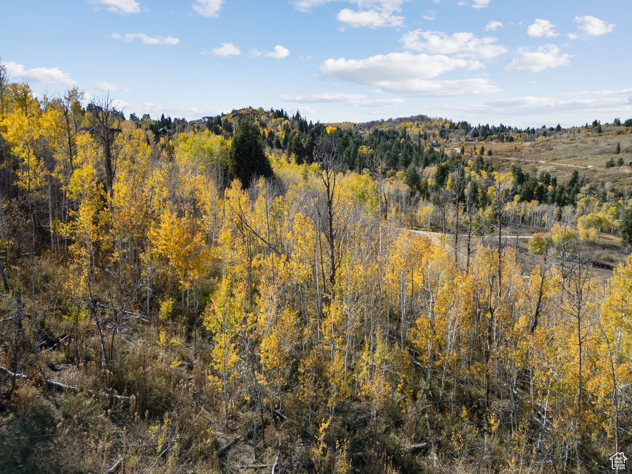 FOREST MEADOW RANCH SUBDIVISION - Land