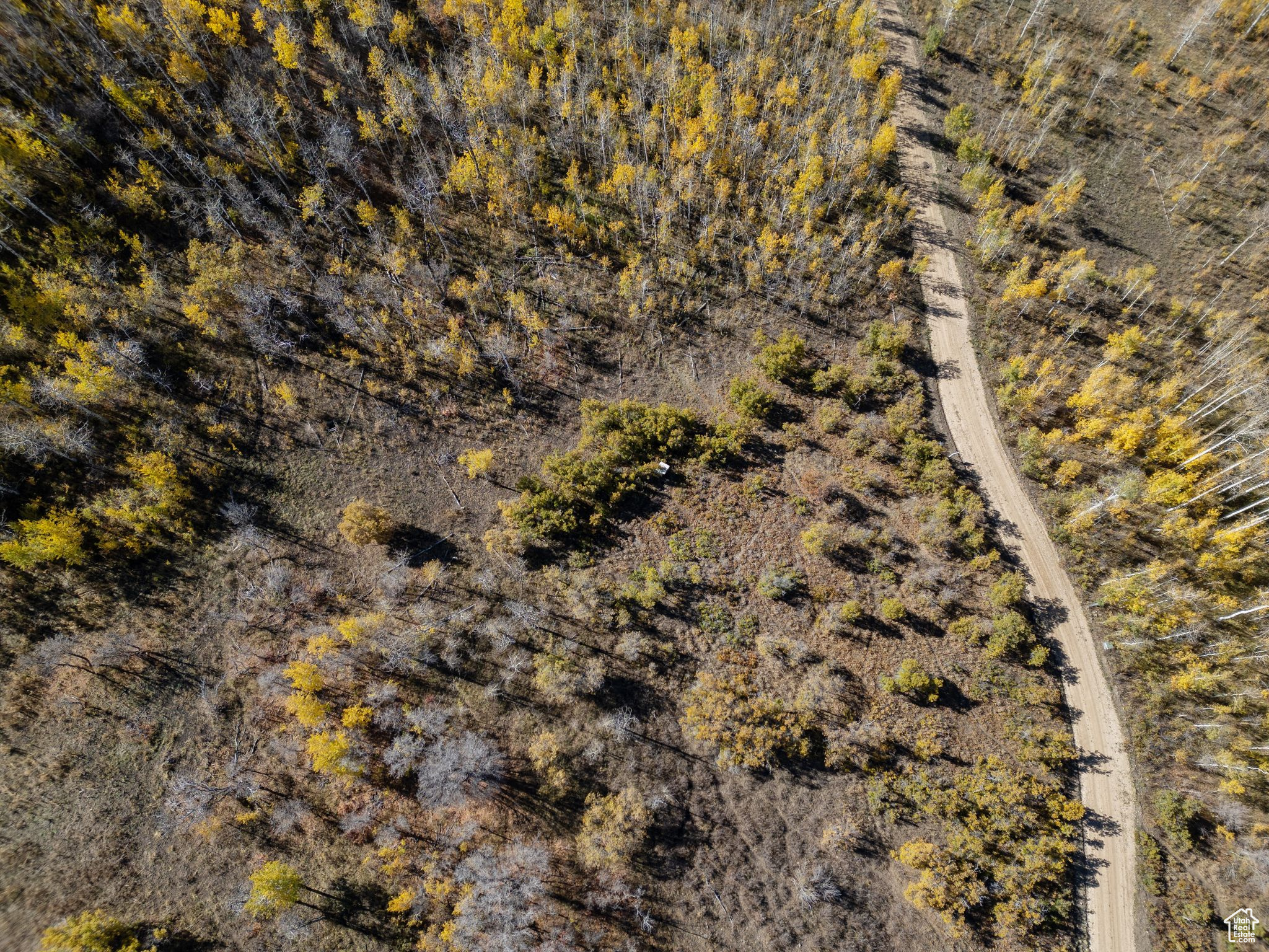 FOREST MEADOW RANCH SUBDIVISION - Land