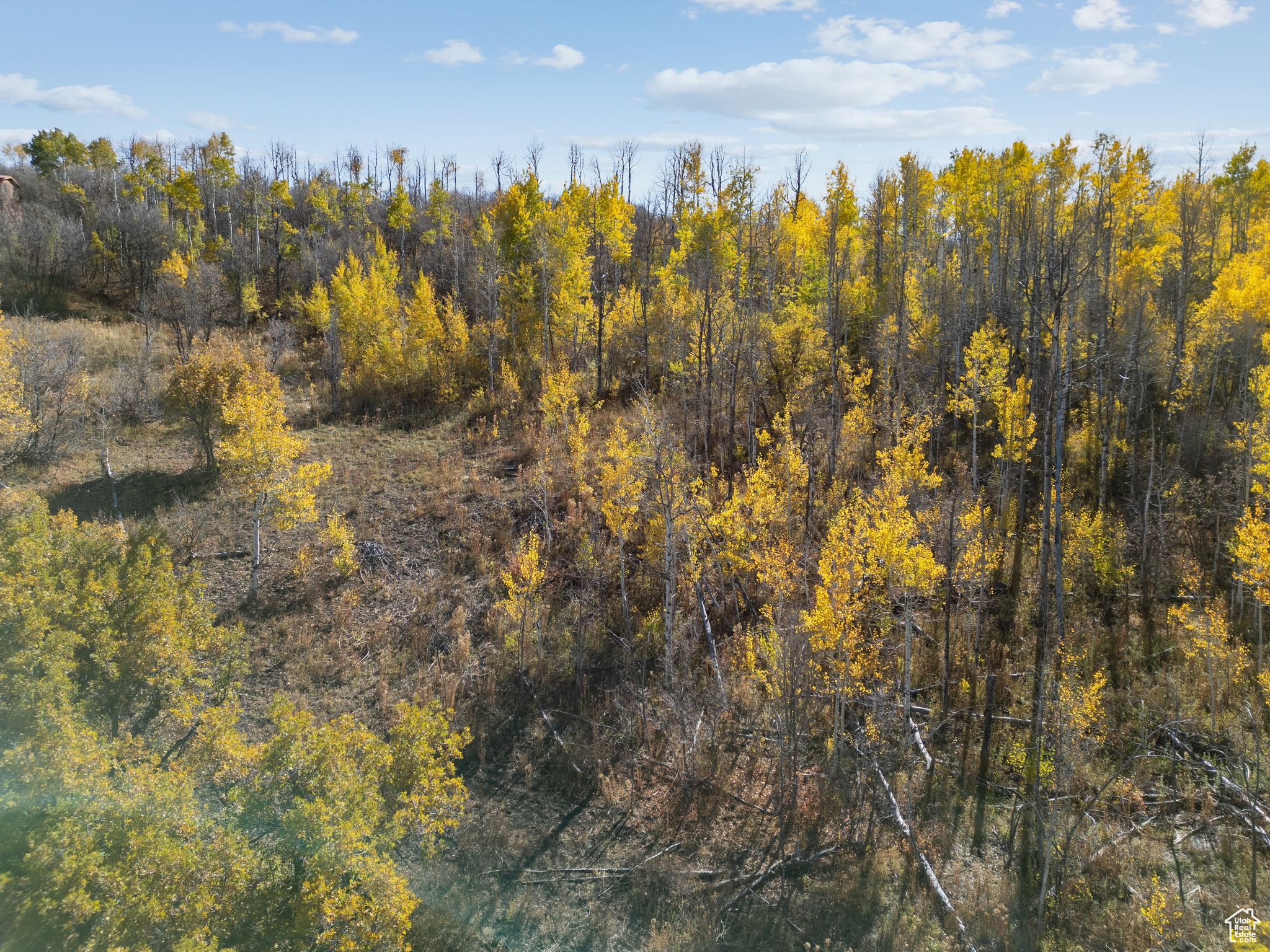 FOREST MEADOW RANCH SUBDIVISION - Land