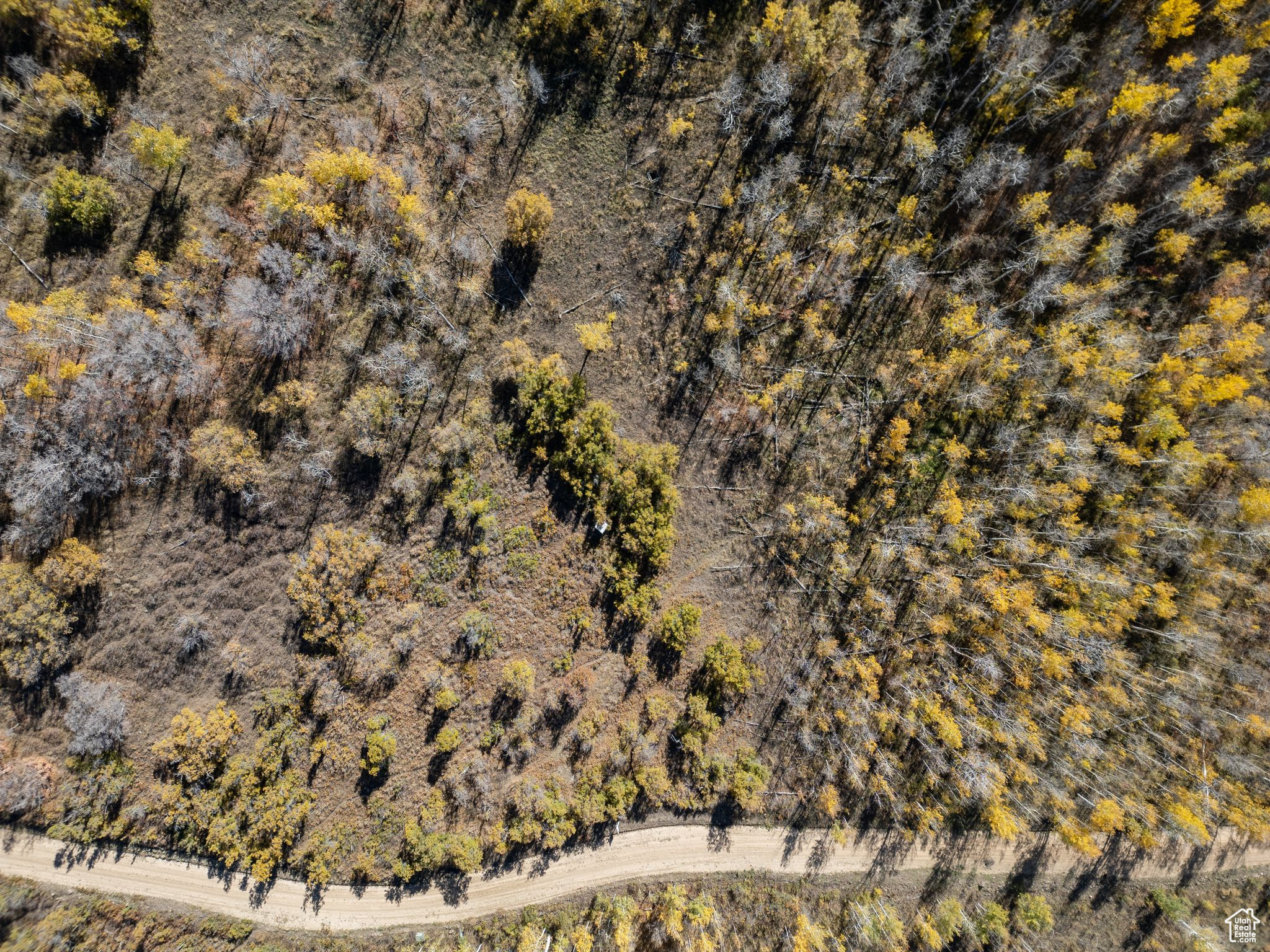 FOREST MEADOW RANCH SUBDIVISION - Land