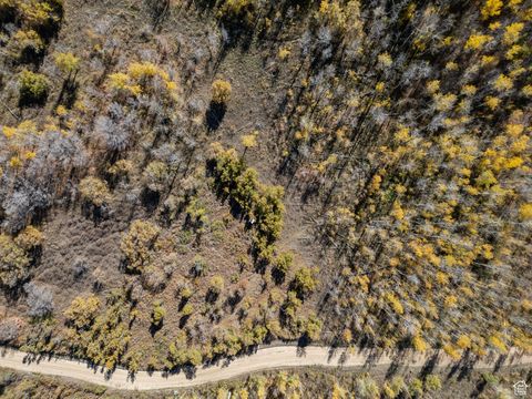 Tiny photo for 276 W BEAR TOOTH RDG #25, Coalville, UT 84017 (MLS # 2116822)