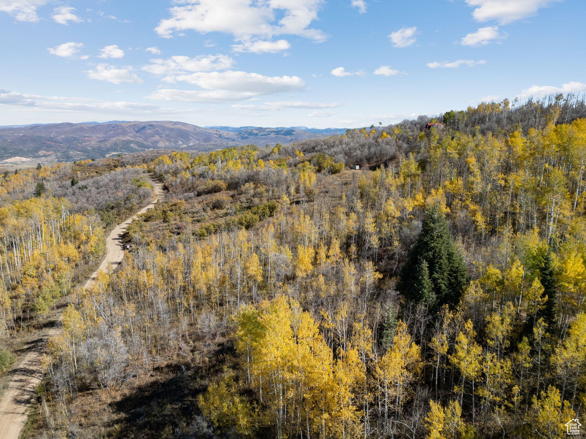 FOREST MEADOW RANCH SUBDIVISION - Land