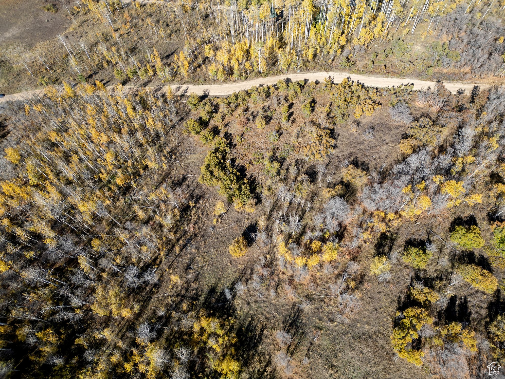 FOREST MEADOW RANCH SUBDIVISION - Land