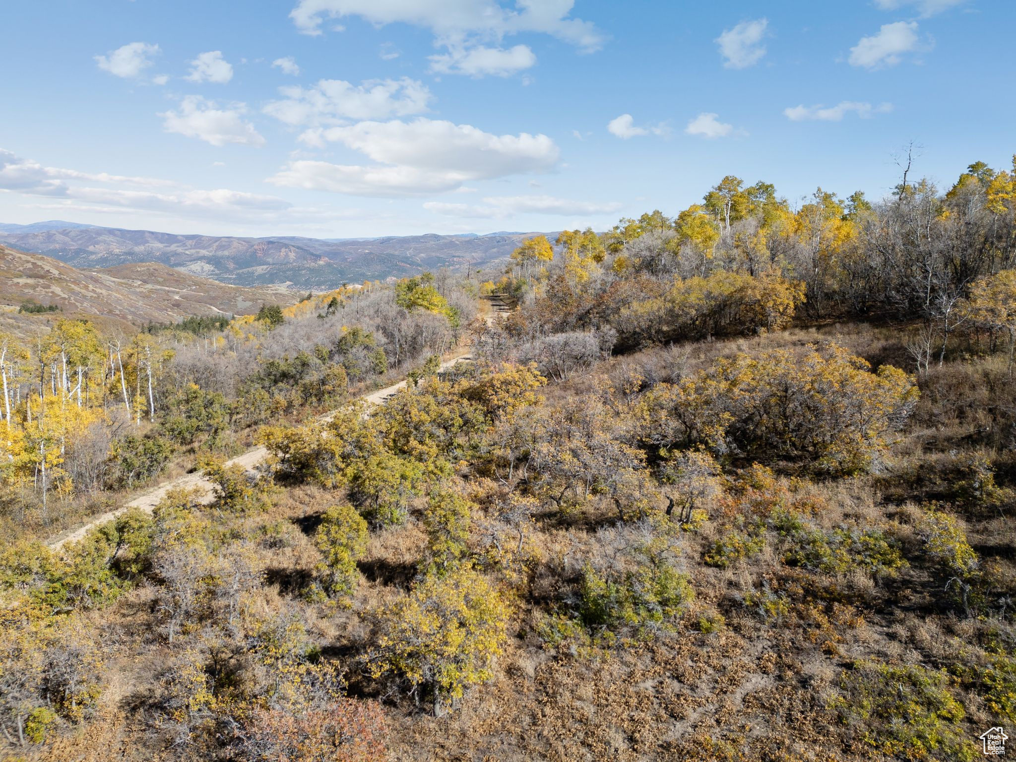 FOREST MEADOW RANCH SUBDIVISION - Land