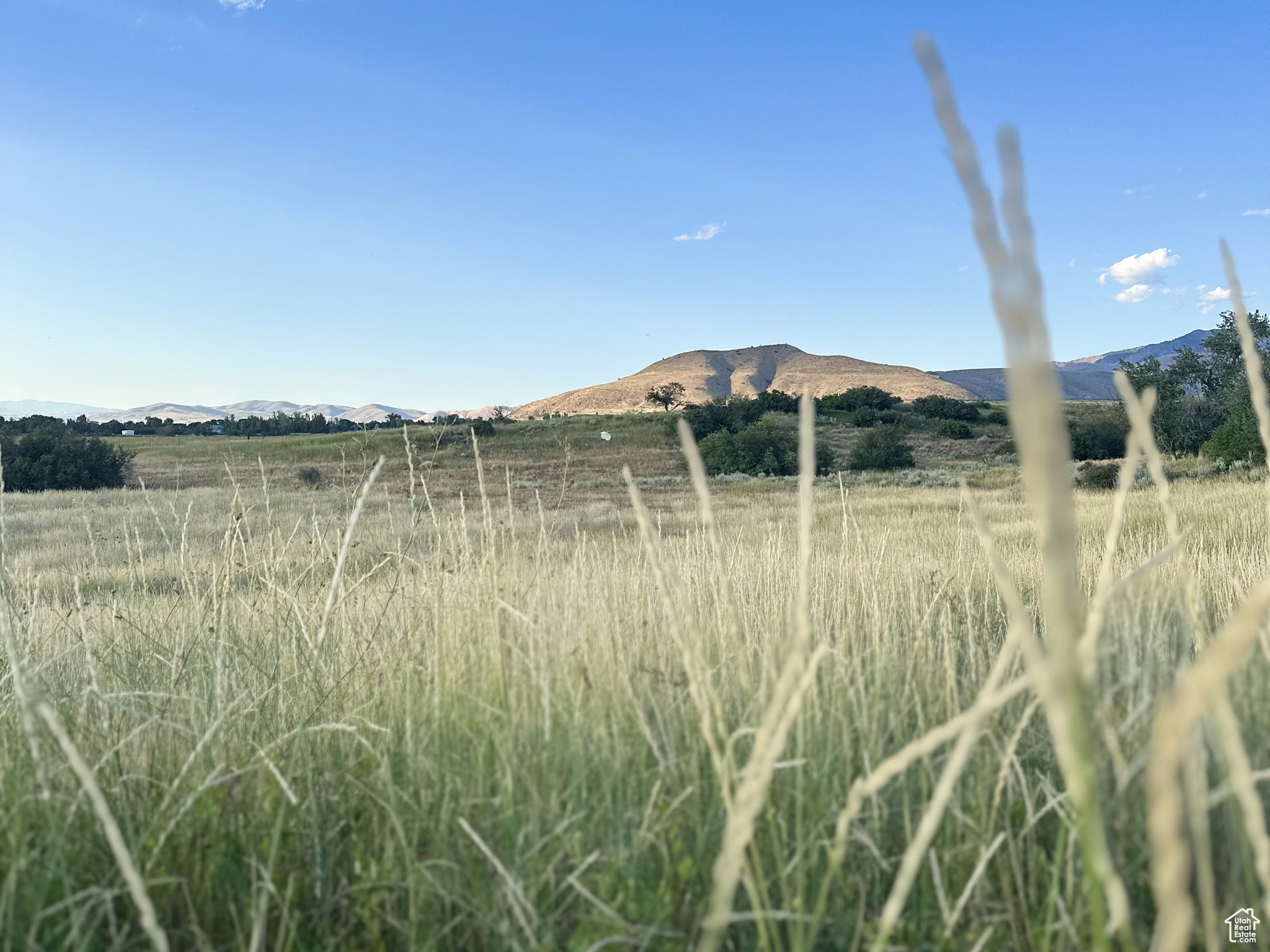 Land, Richmond, Utah image 1