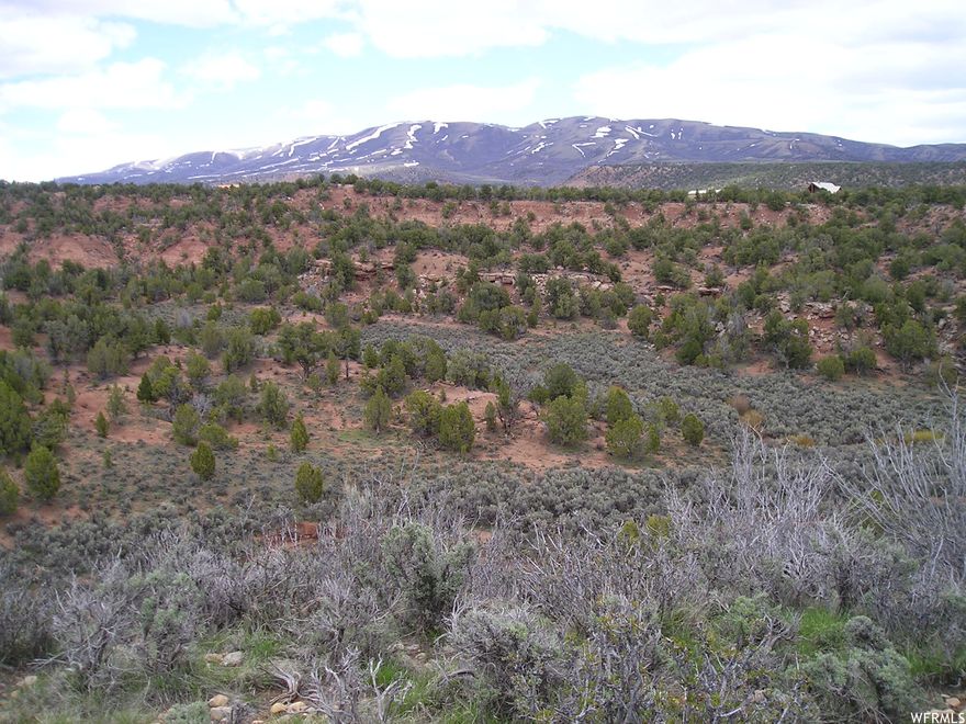 BANDANNA RANCH!!  6.70 acres with culinary water available!  Water, power, and septic available at buyer's expense if you wish to build. Or just  come self-contained and enjoy the peace and quiet of nature!  Miles of off road adventuring! Just 5 or 6 minutes from Red Creek Reservoir!  Bring the boats and camp trailers!  Plenty of room for all!  Easy year 'round access!  $250 annual fee helps with road maintenance!