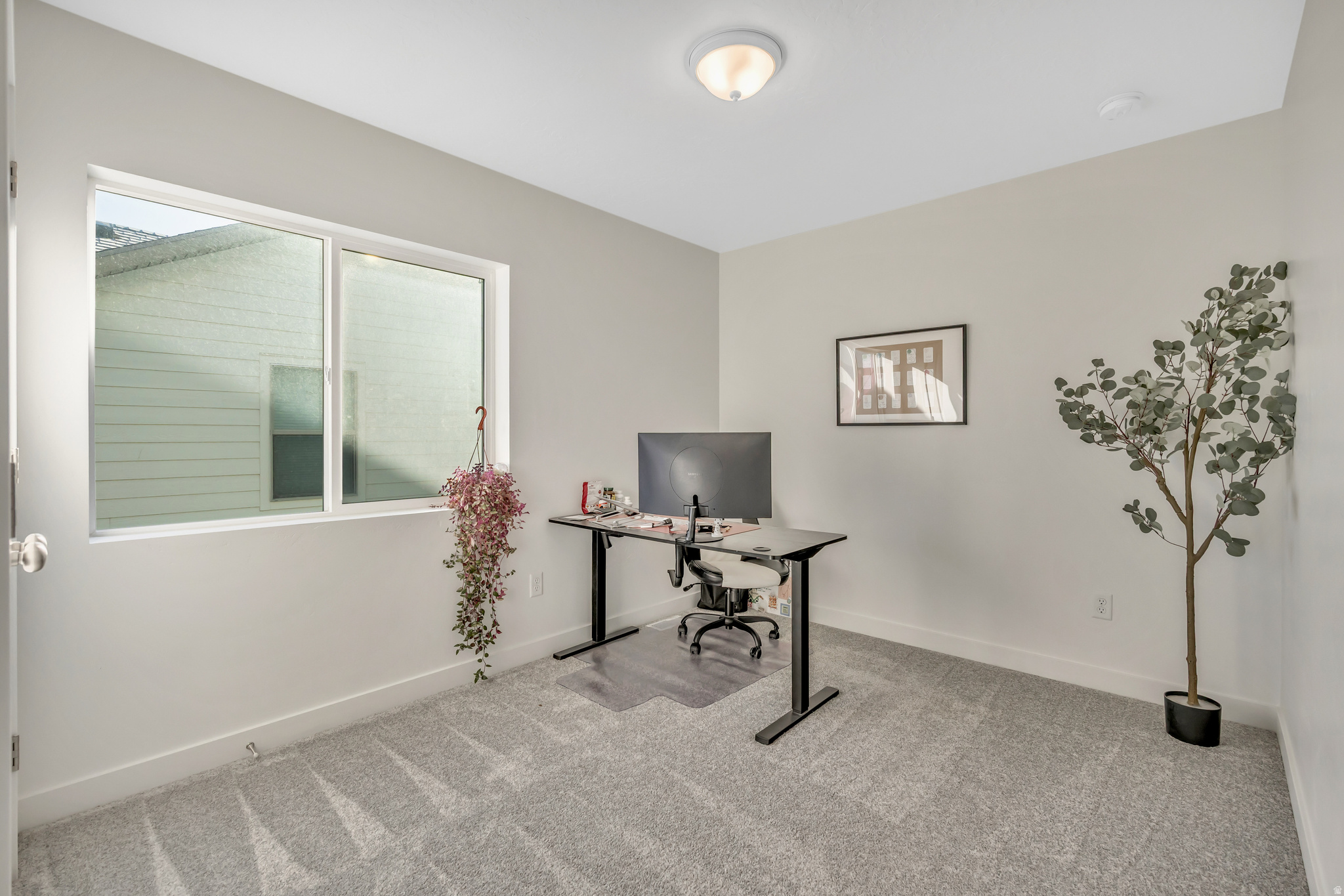 WANDER - Residential