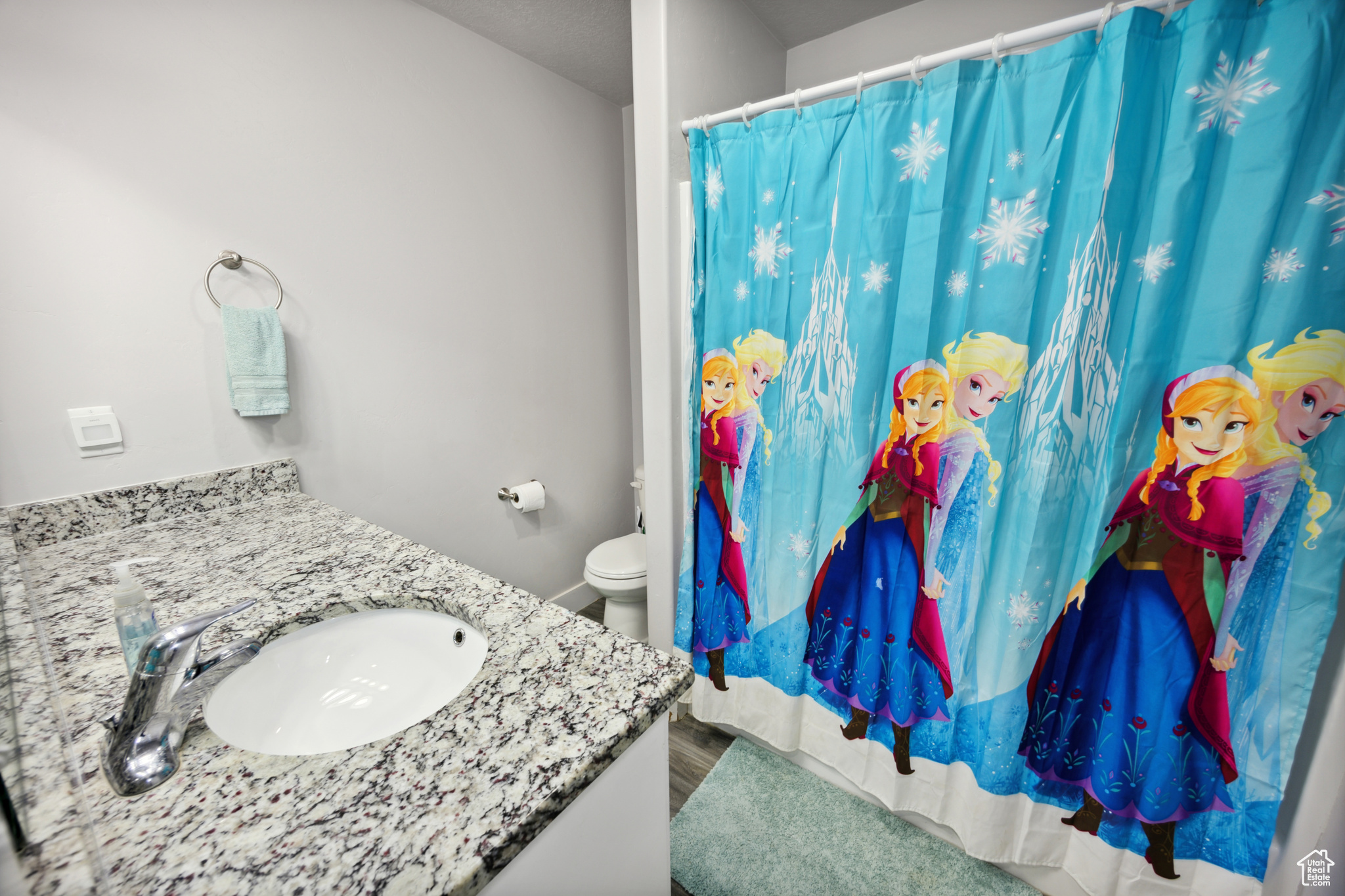 905 S 270, Nephi, Utah image 20