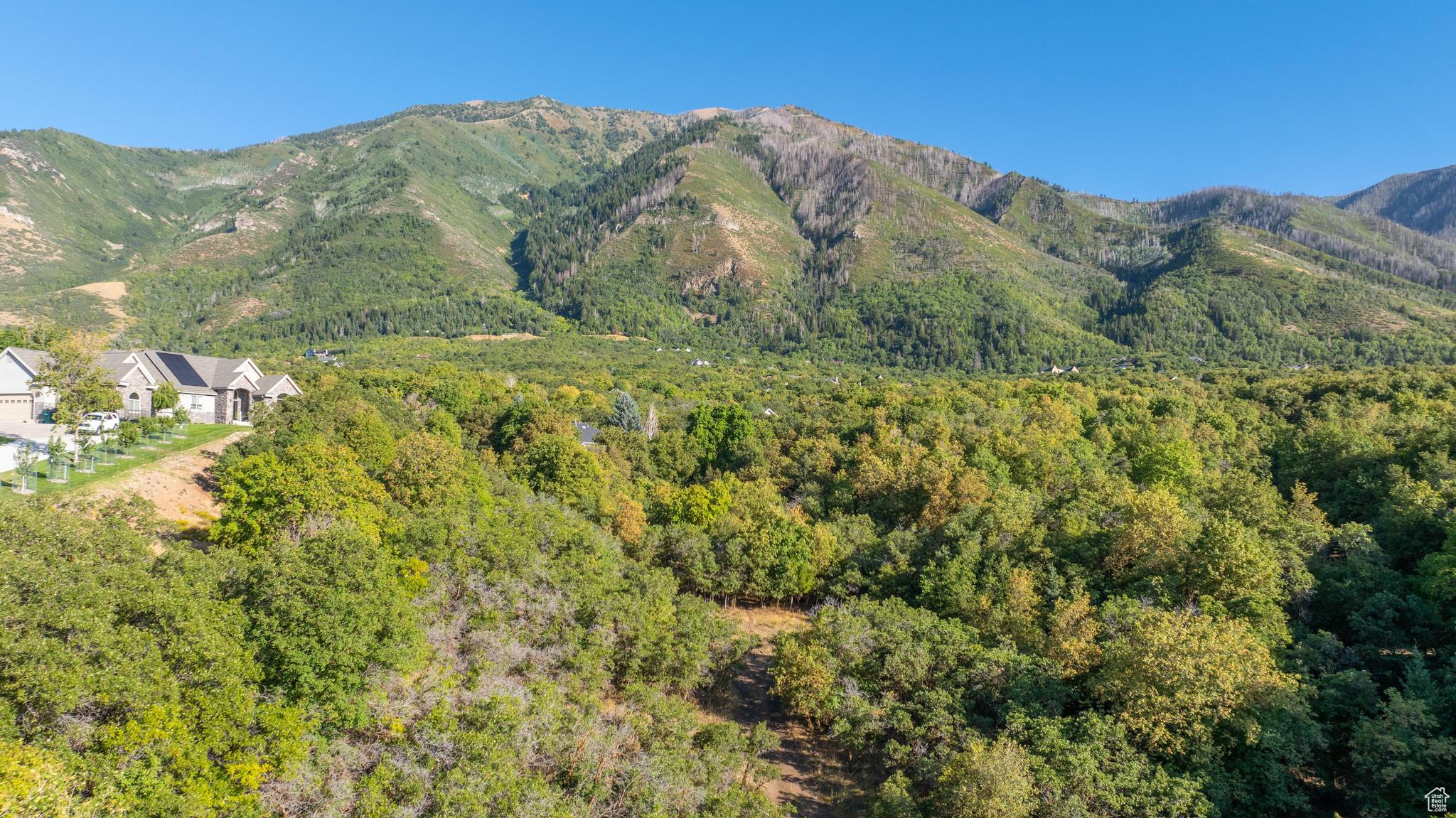 VILLAGES AT WOODLAND MEADOWS - Land