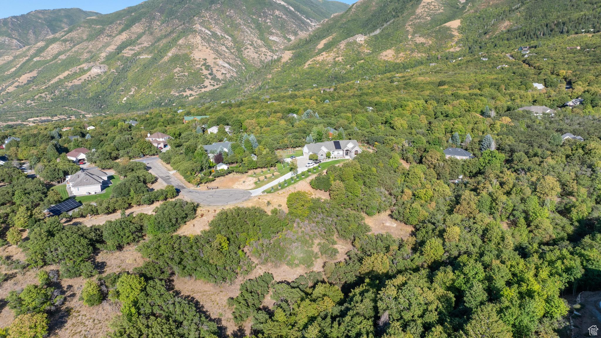 VILLAGES AT WOODLAND MEADOWS - Land