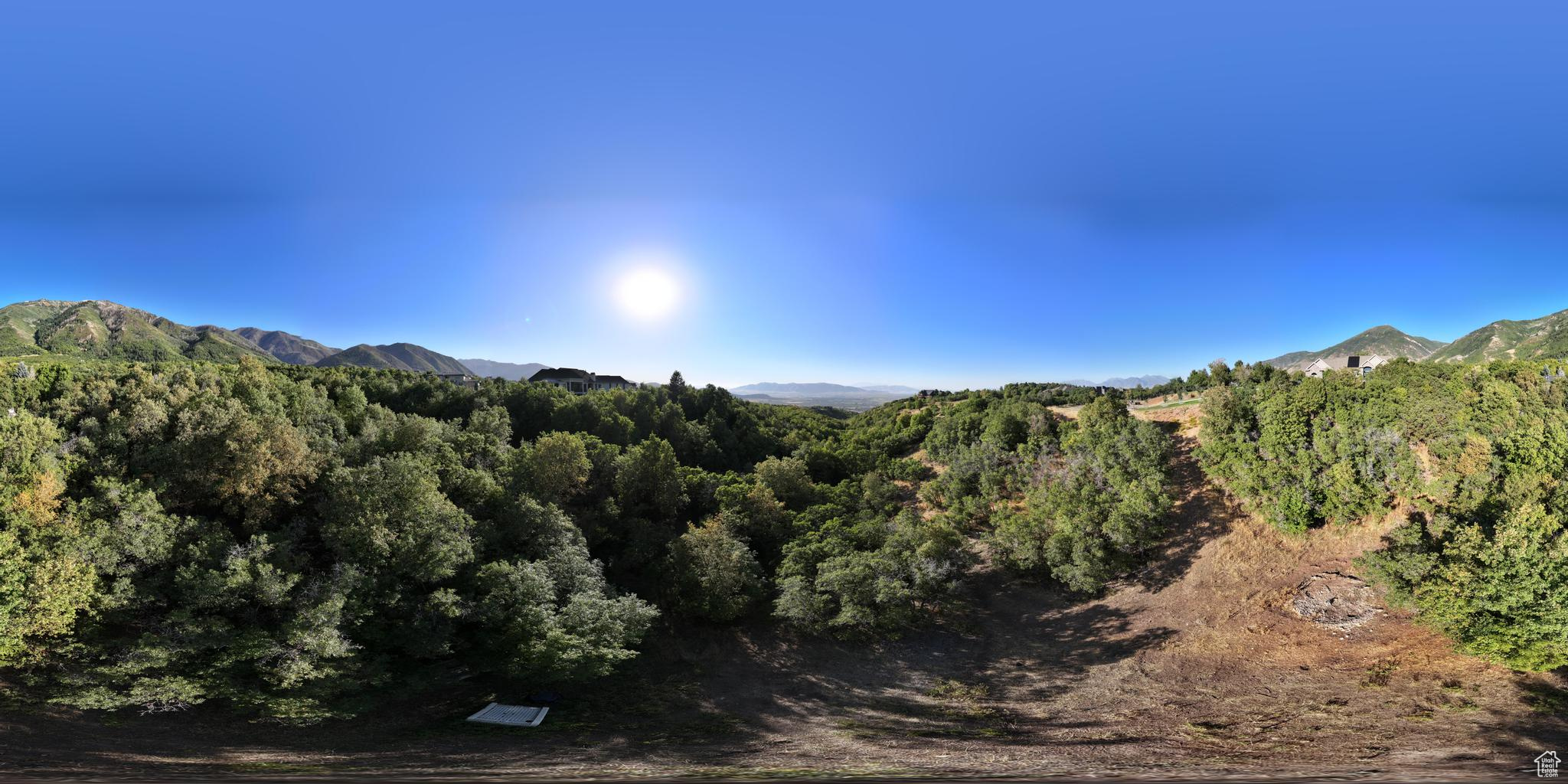 VILLAGES AT WOODLAND MEADOWS - Land