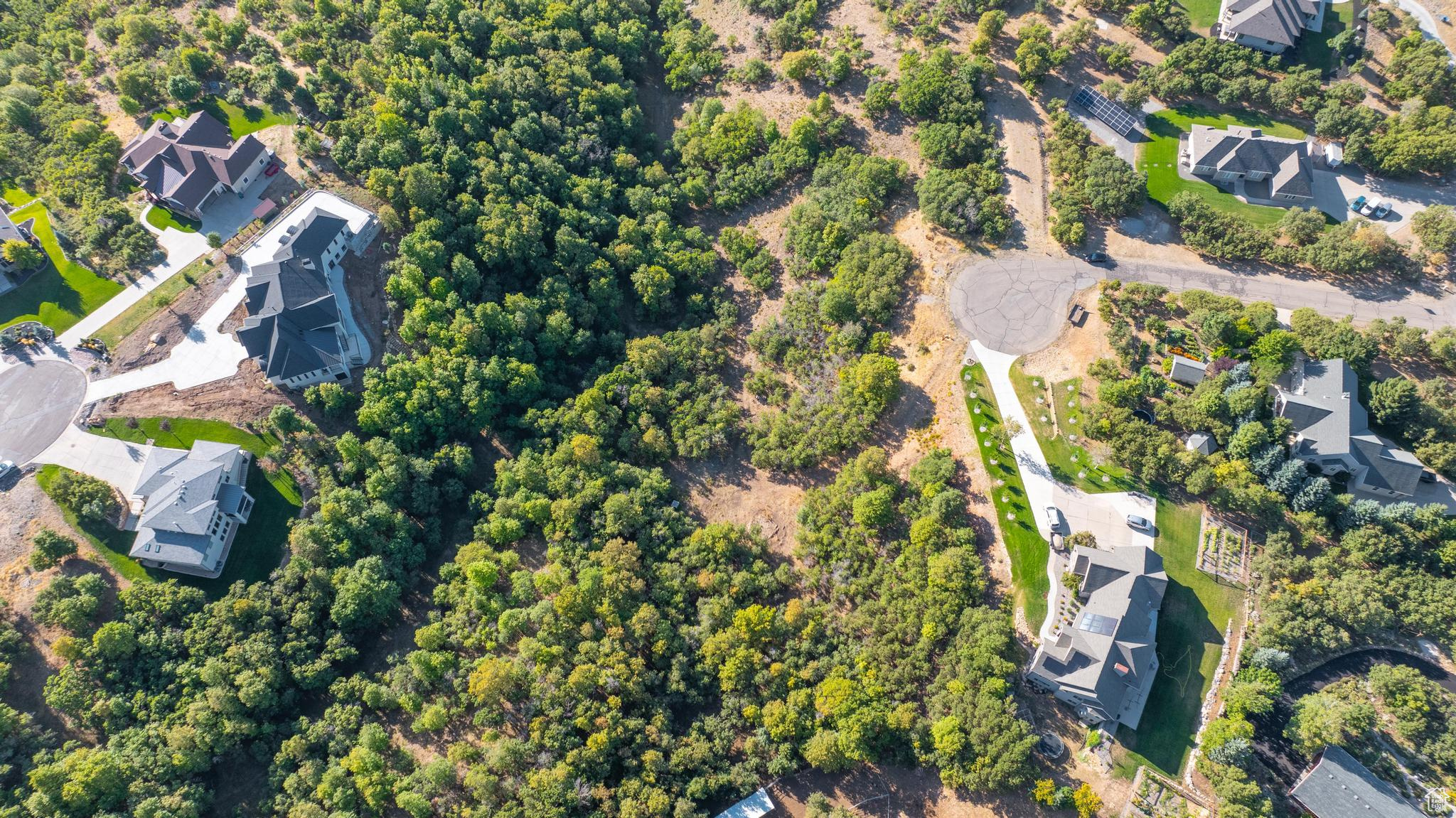 VILLAGES AT WOODLAND MEADOWS - Land