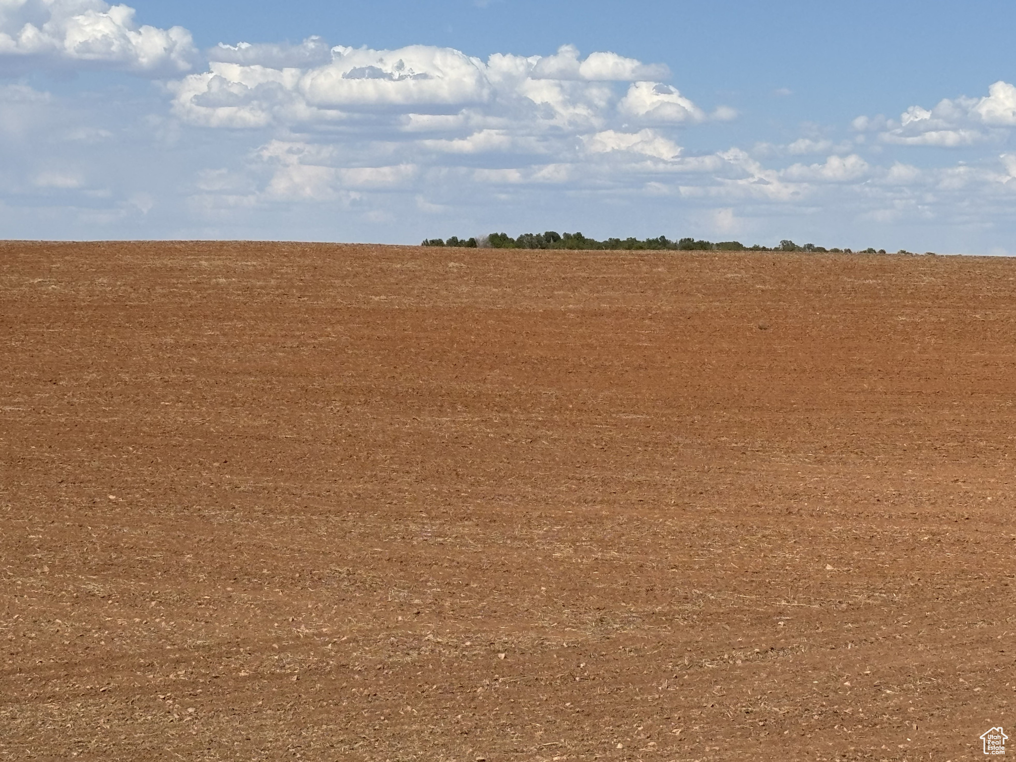 Monticello, Utah 84535, United States, ,Land,Active,203601