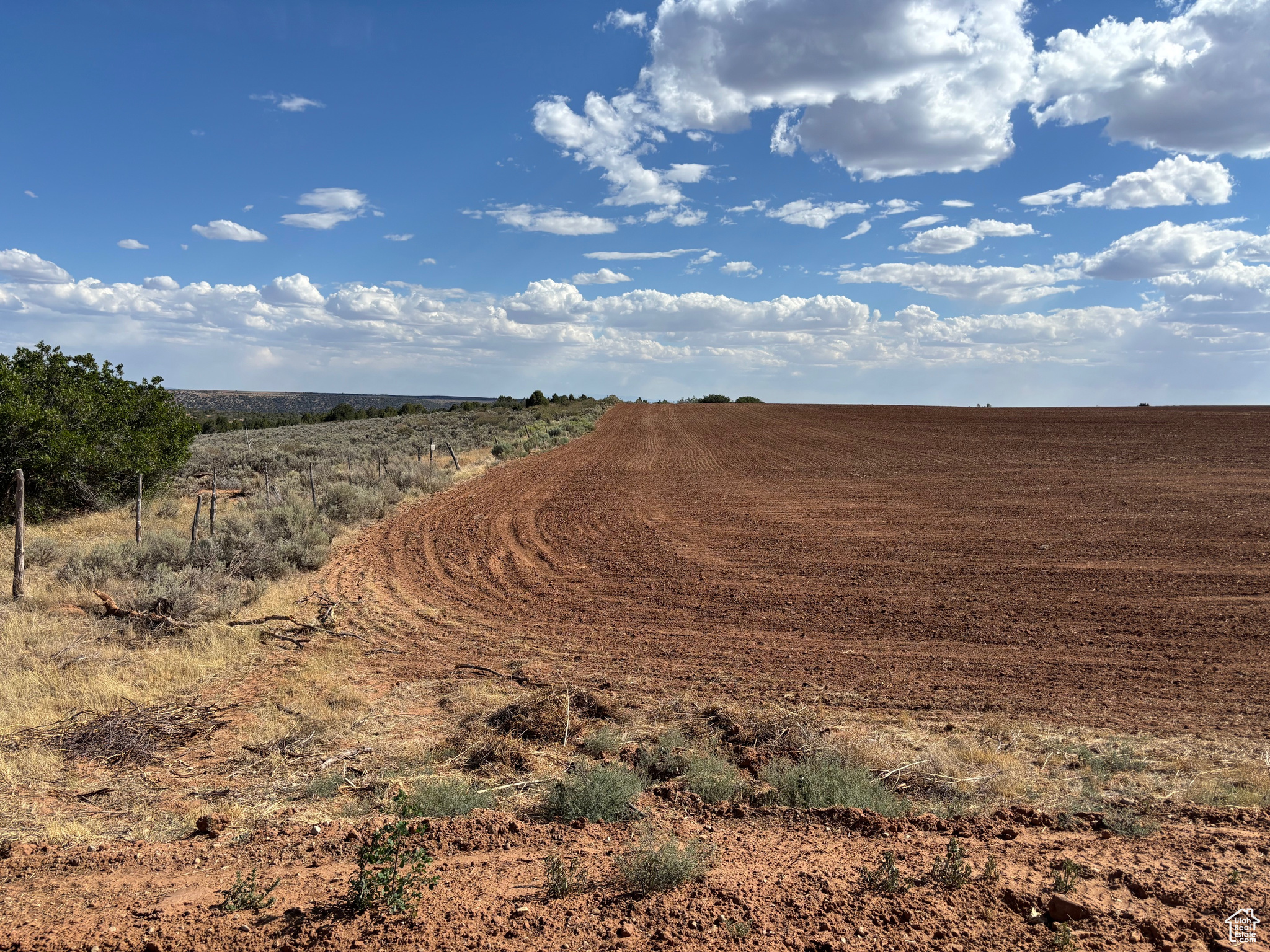 Monticello, Utah 84535, United States, ,Land,Active,203601