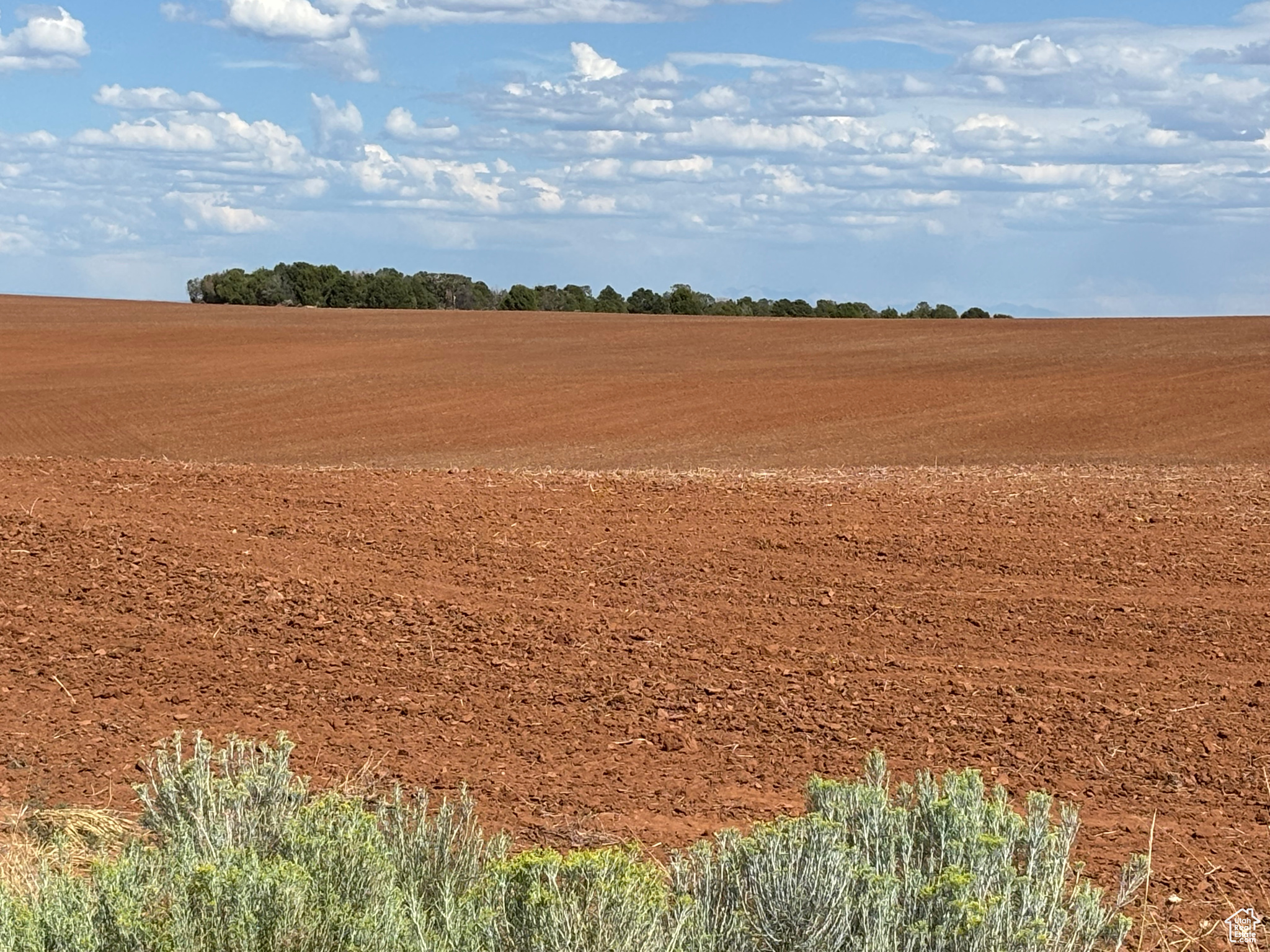 Monticello, Utah 84535, United States, ,Land,Active,203601