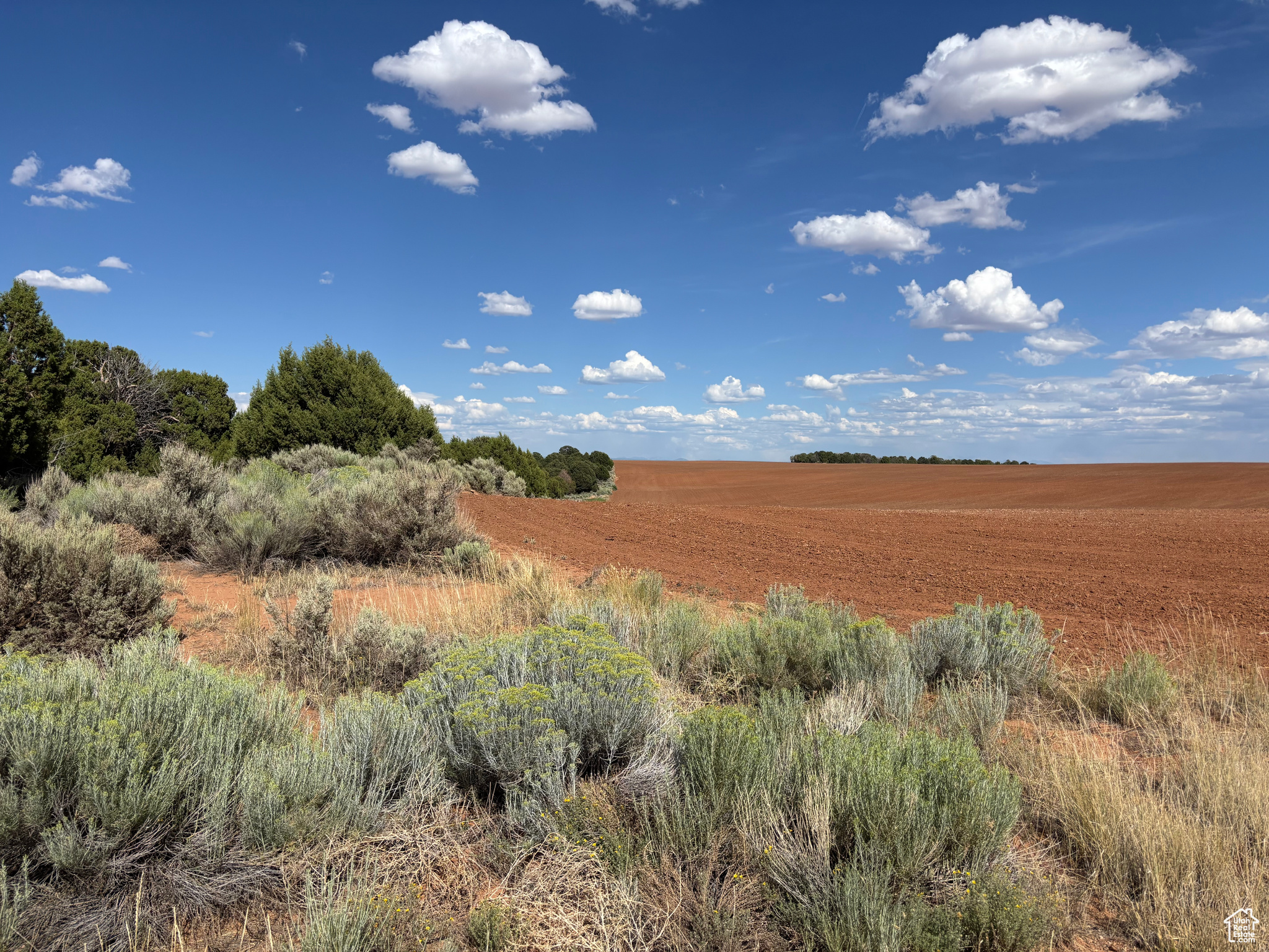 Monticello, Utah 84535, United States, ,Land,Active,203601