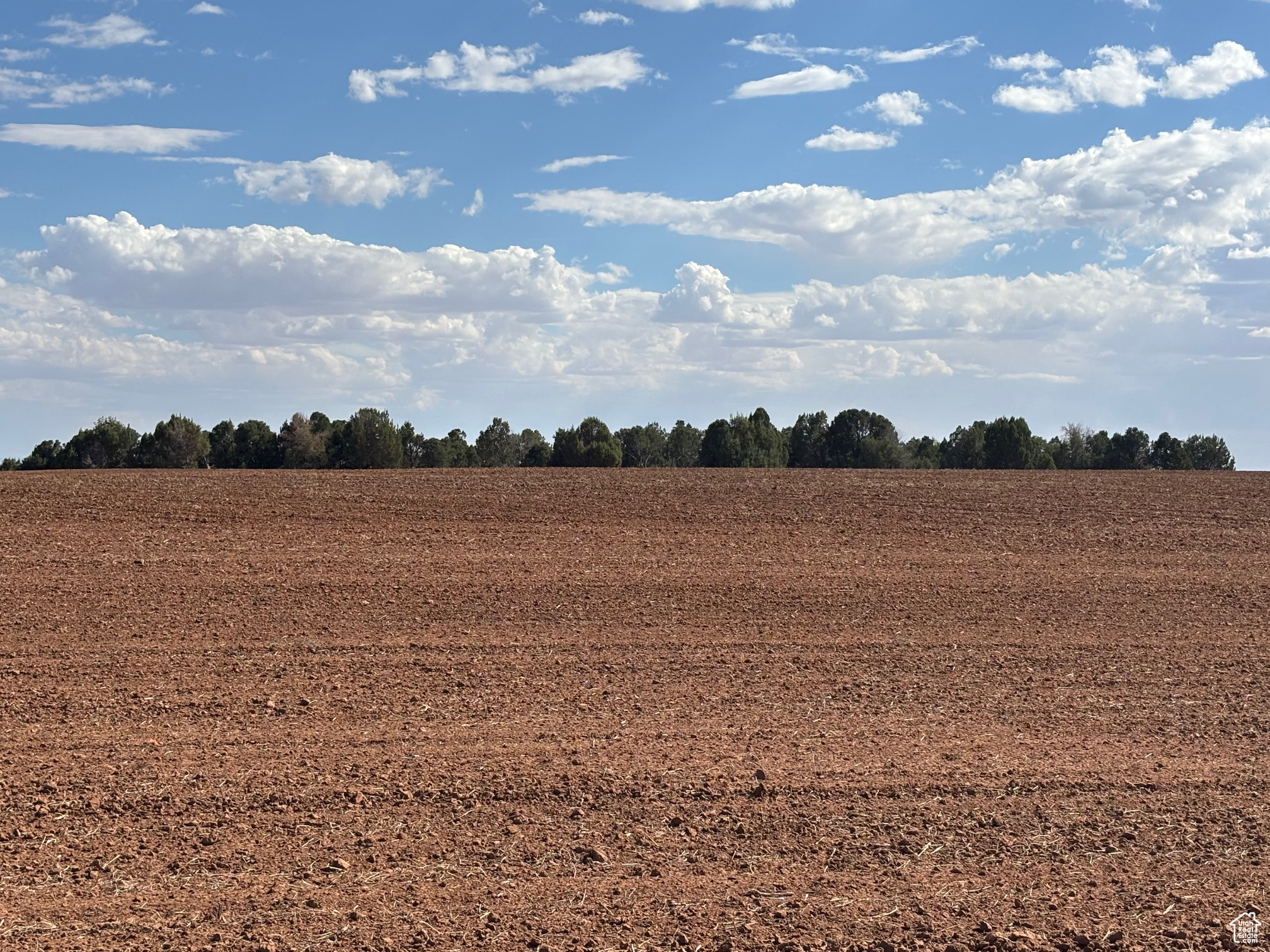 Monticello, Utah 84535, United States, ,Land,Active,203601