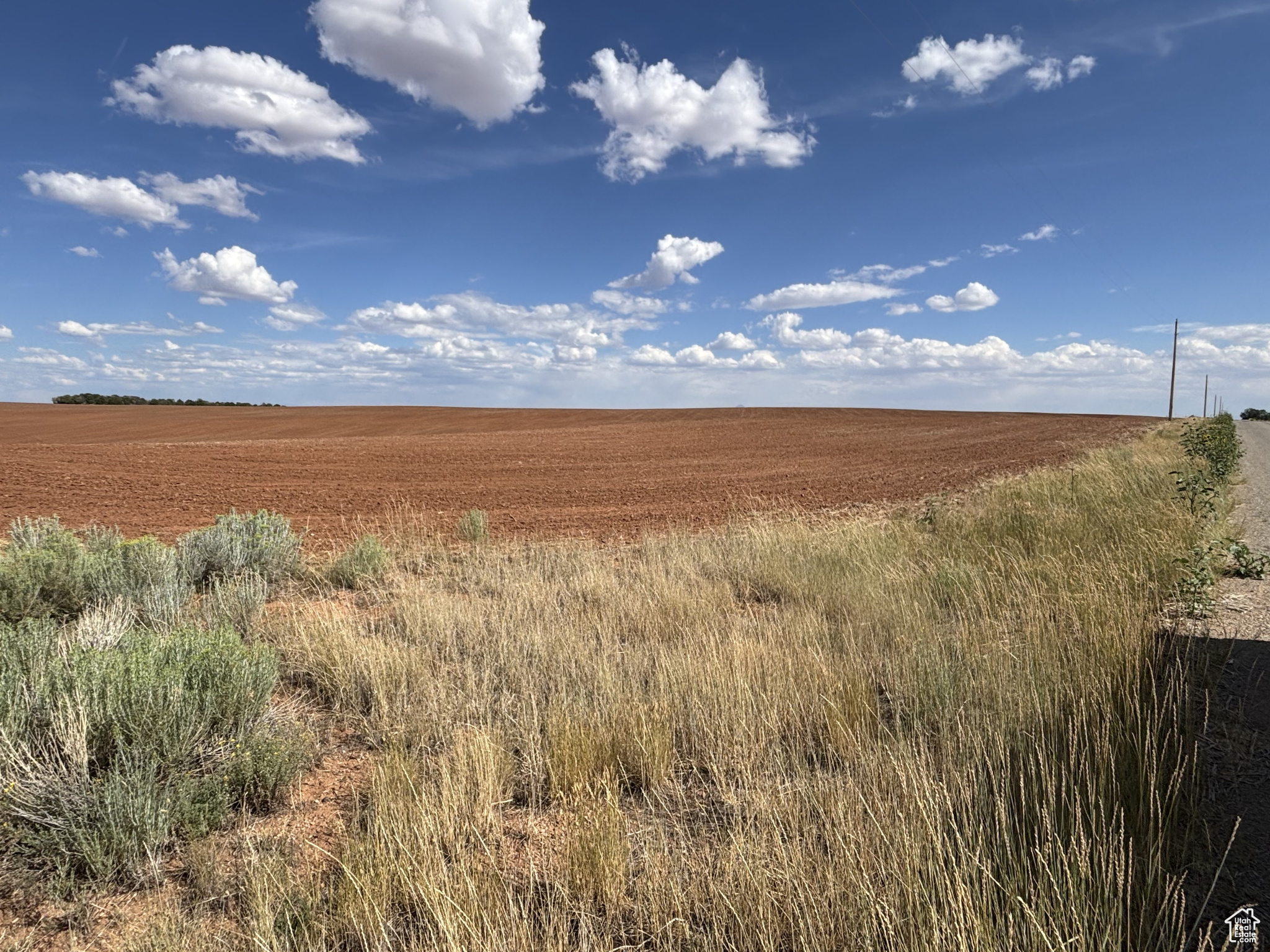 Monticello, Utah 84535, United States, ,Land,Active,203601