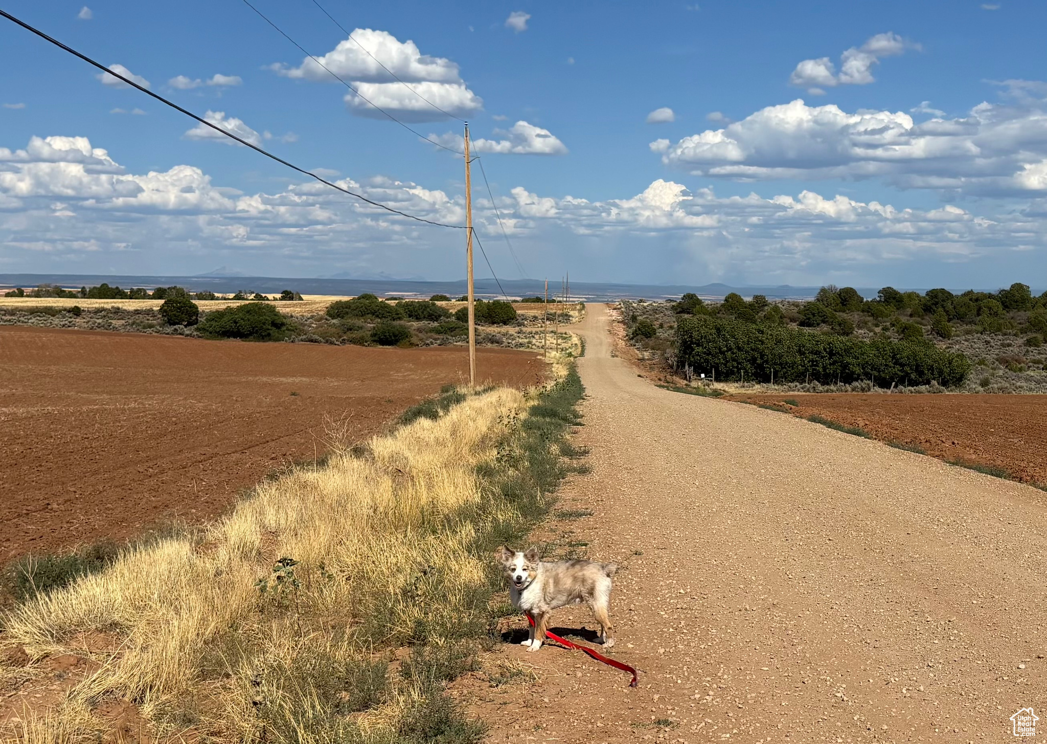 Monticello, Utah 84535, United States, ,Land,Active,203601