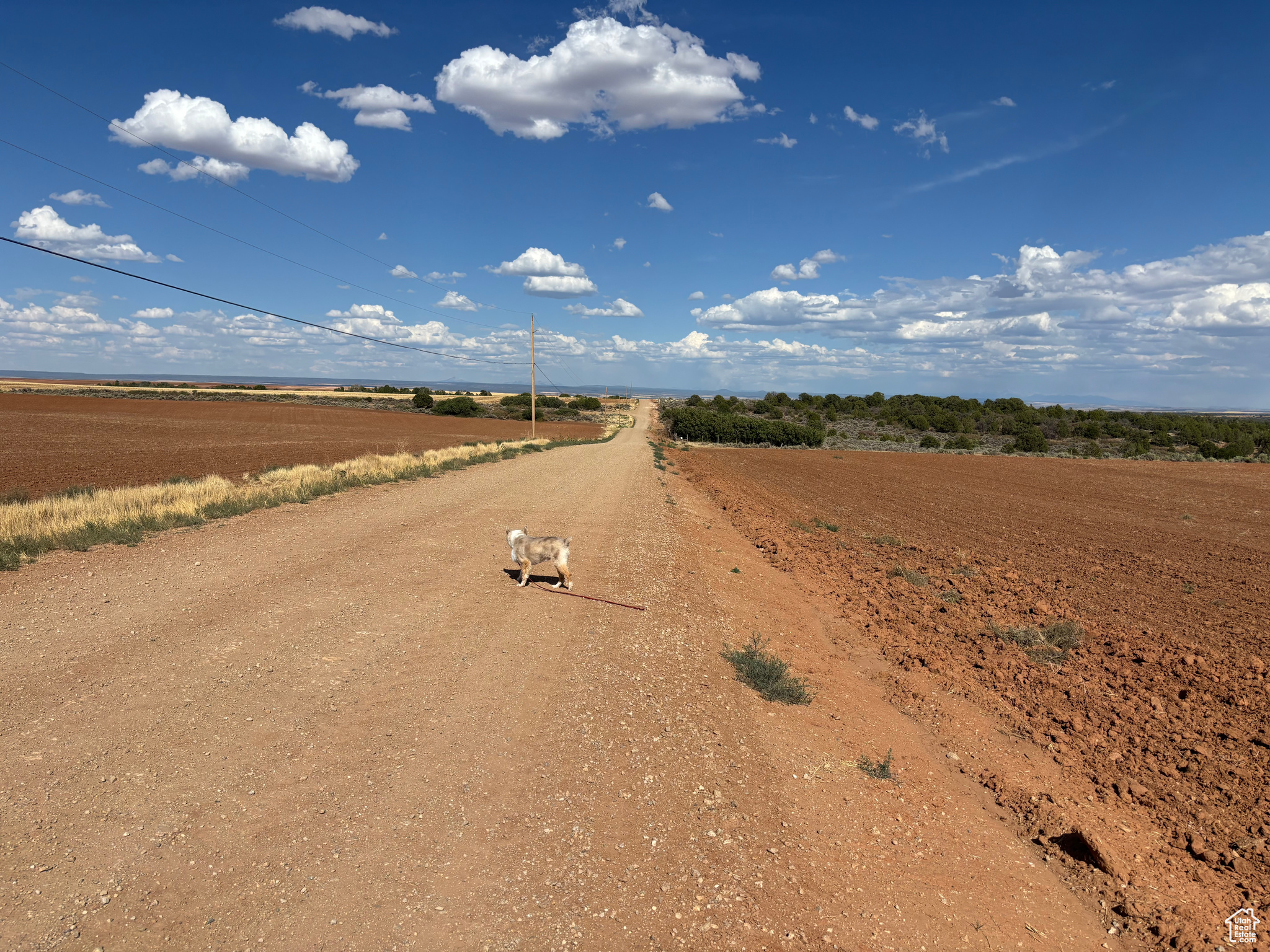 Monticello, Utah 84535, United States, ,Land,Active,203601