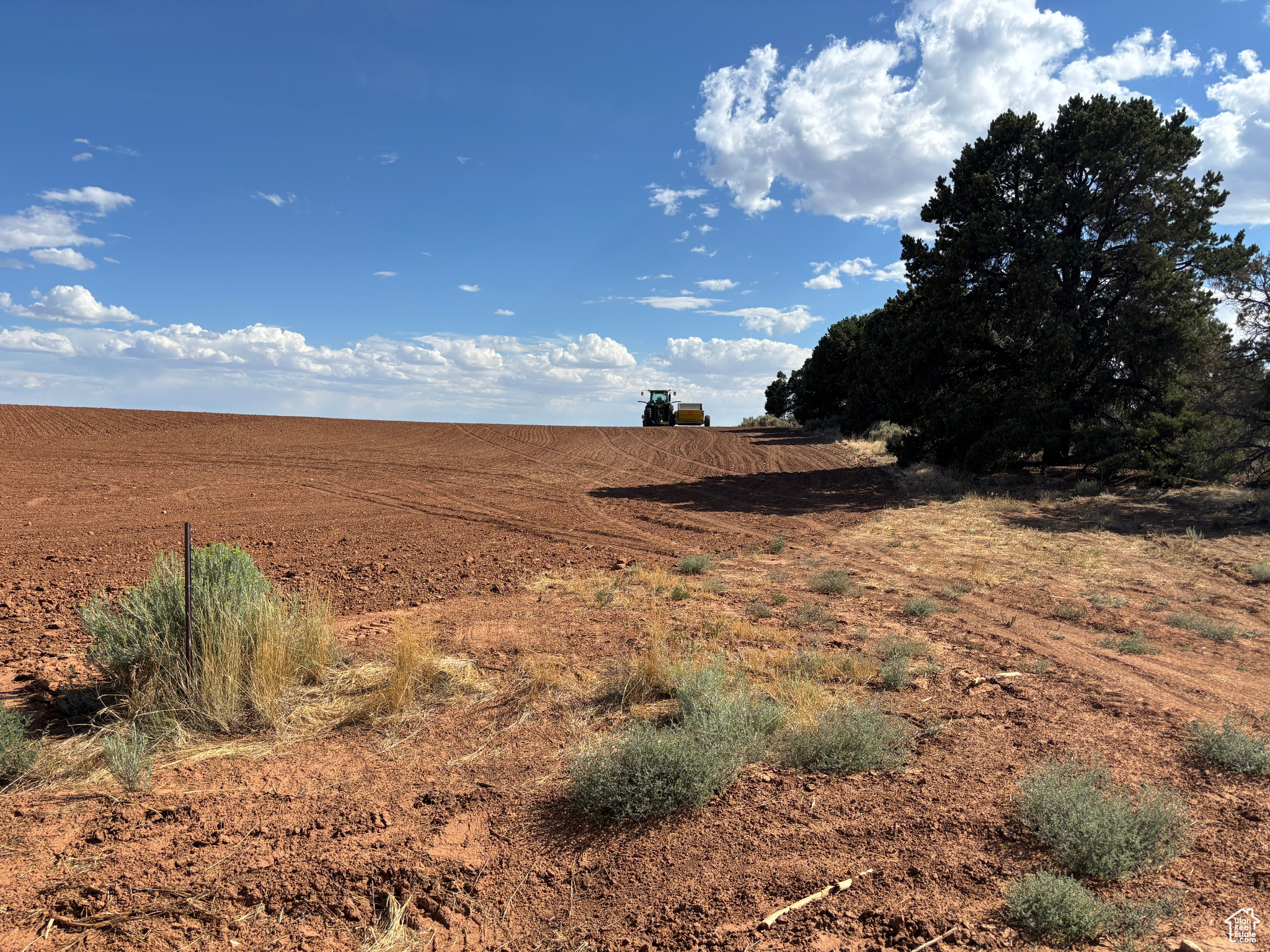 Monticello, Utah 84535, United States, ,Land,Active,203601