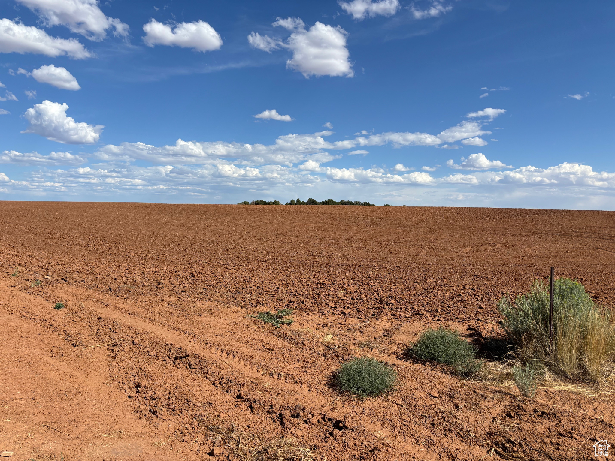 Monticello, Utah 84535, United States, ,Land,Active,203601
