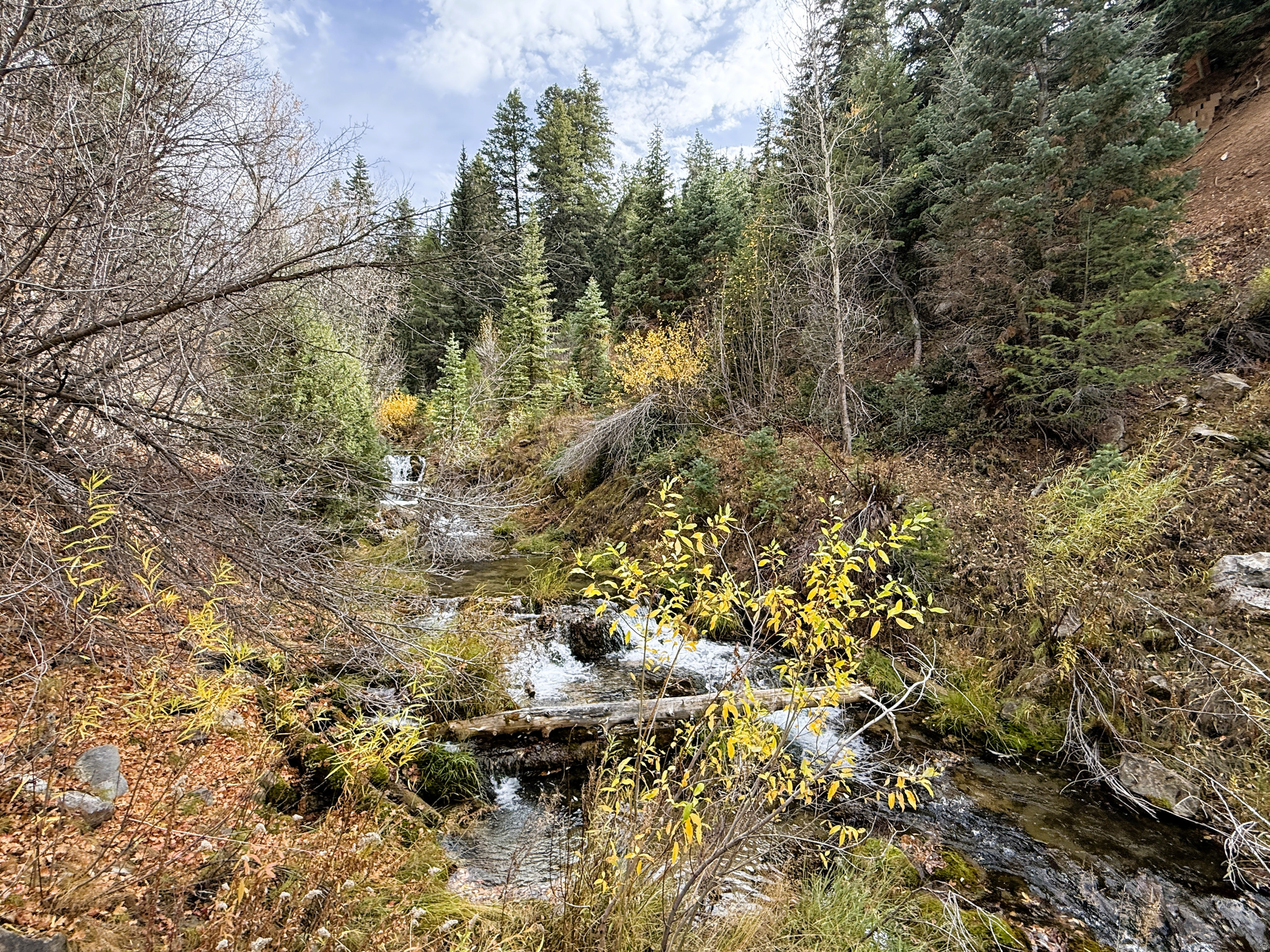 PINE CREEK RANCH ACRES SUBDIVISION - Land