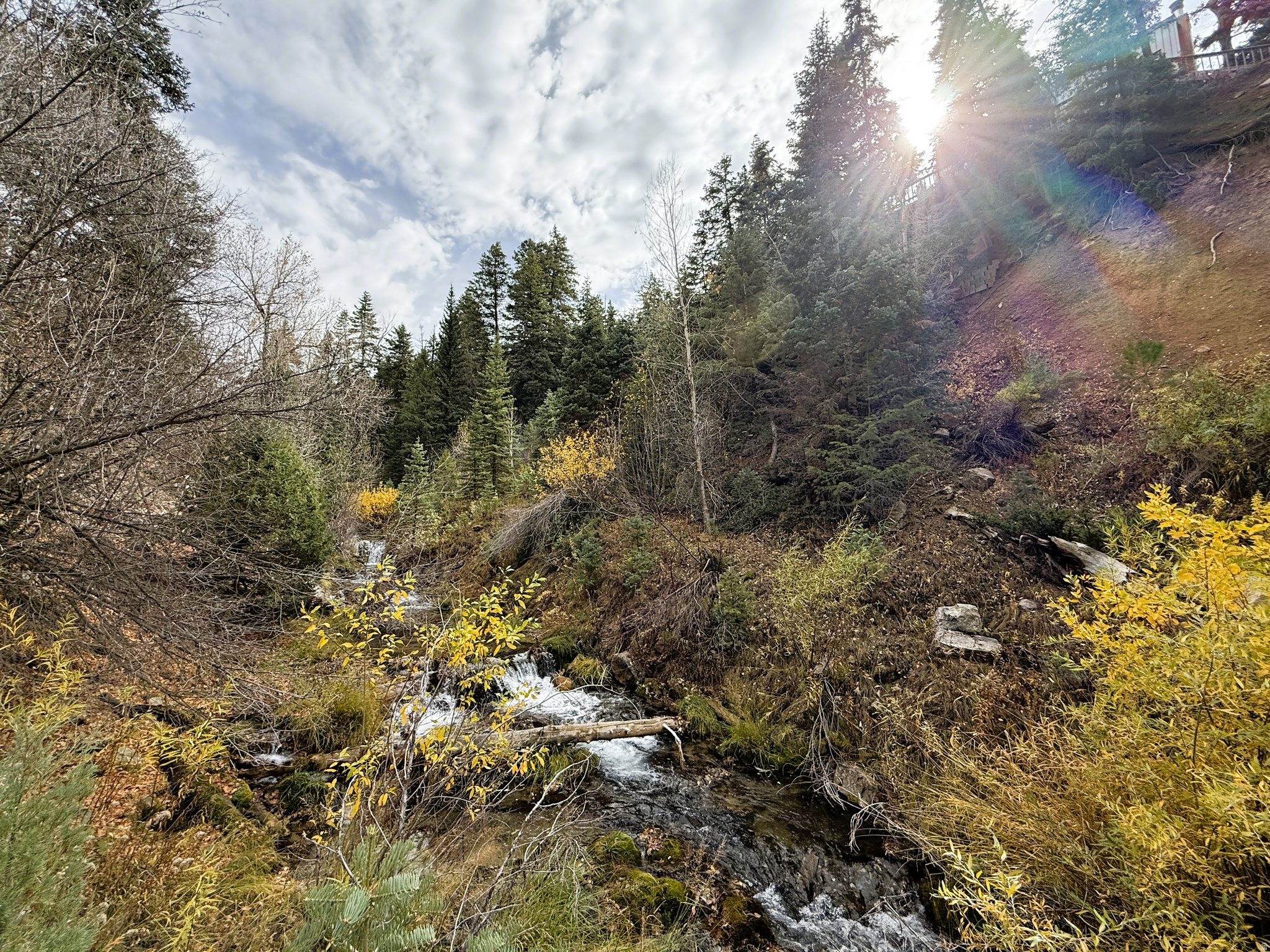 PINE CREEK RANCH ACRES SUBDIVISION - Land