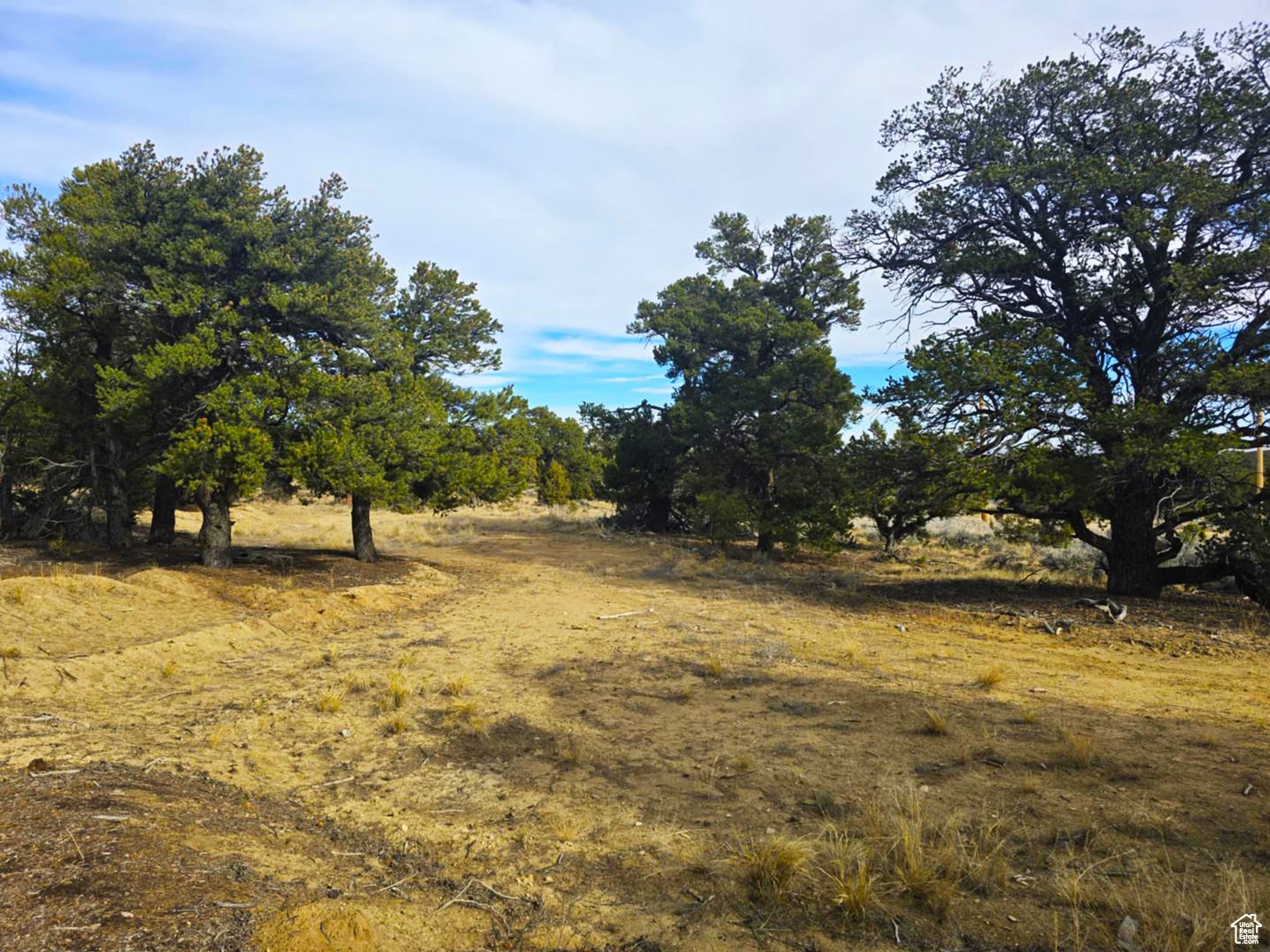 RANCHES AT PINION RIDGE PHASE 6 - Land