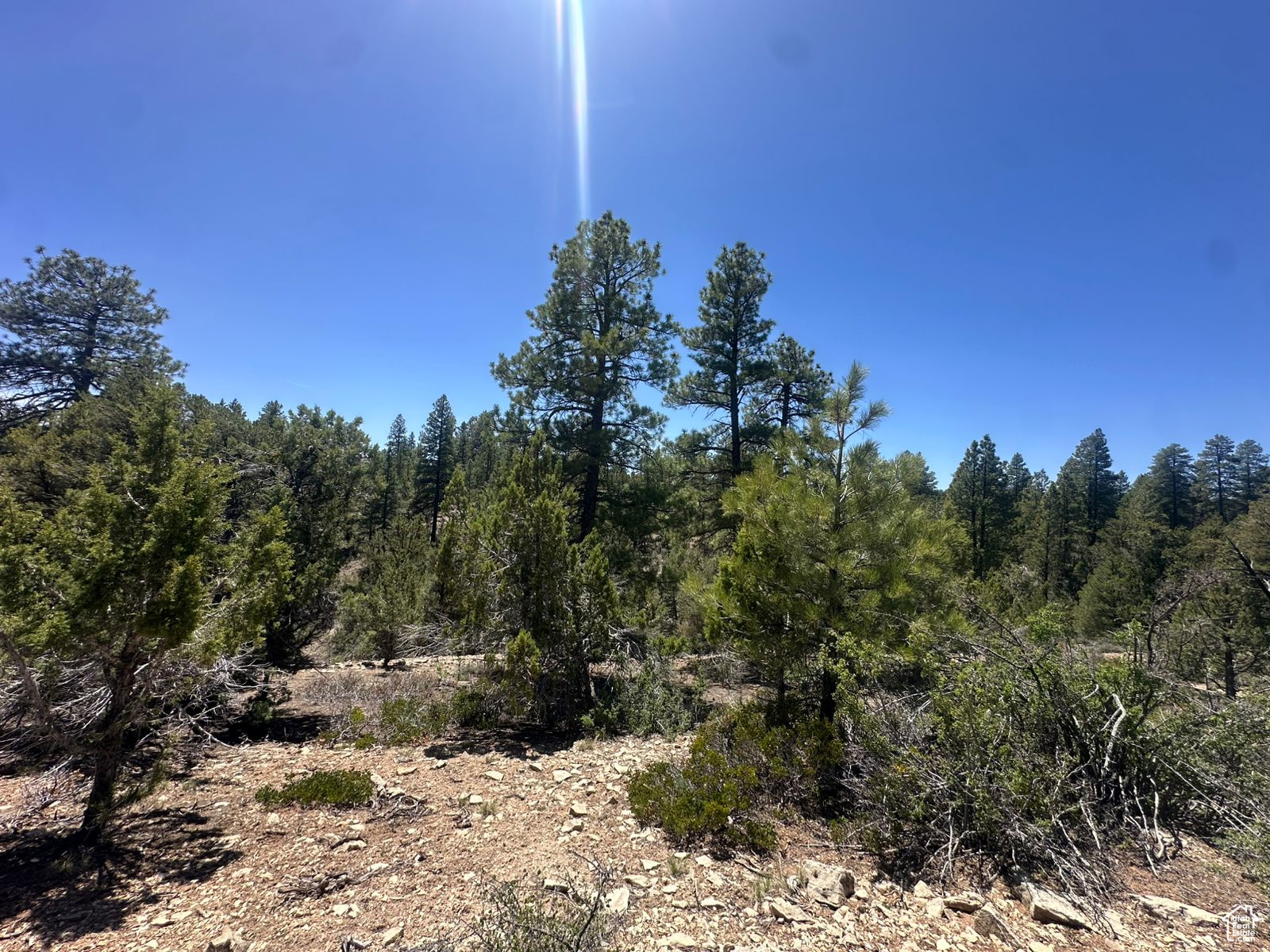 ALL OF LOT 11 BLOCK "I" AMENDED PLAT OF LITTLE  PO - Land