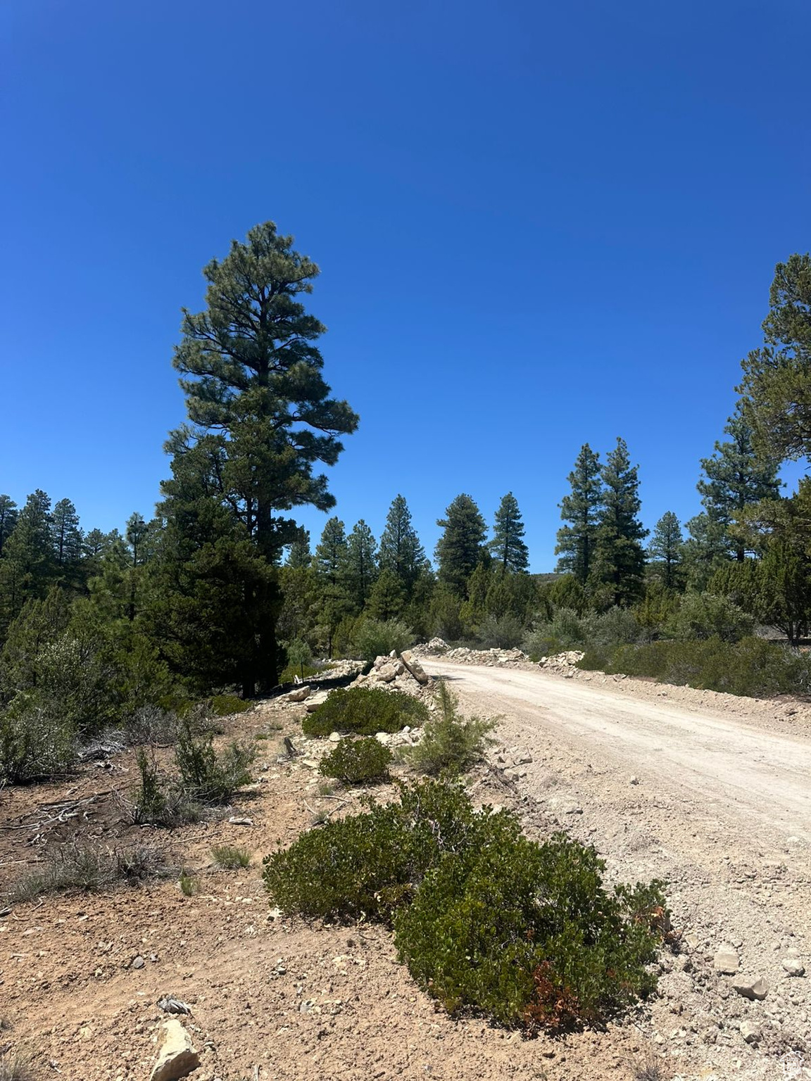 ALL OF LOT 11 BLOCK "I" AMENDED PLAT OF LITTLE  PO - Land