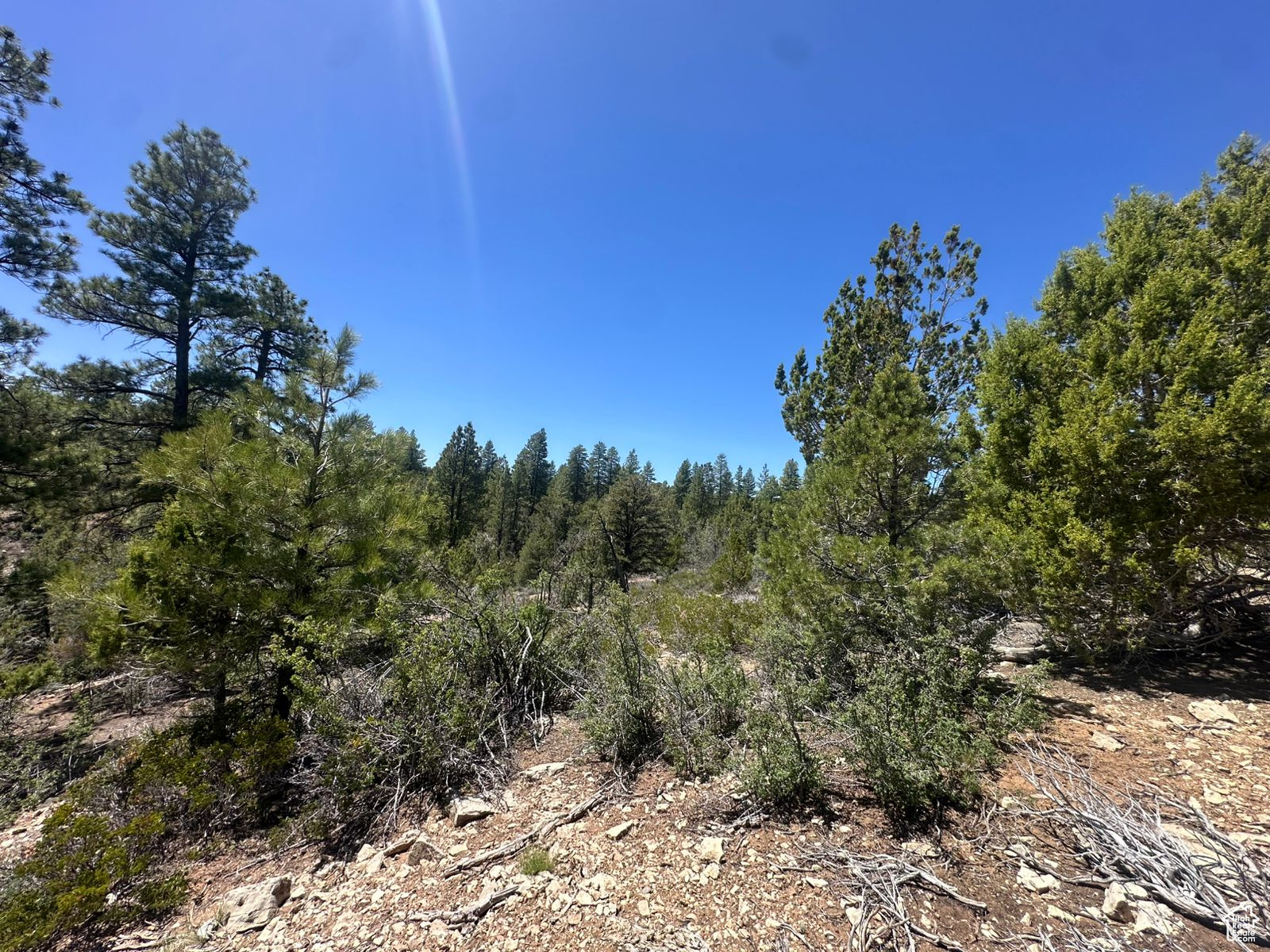 ALL OF LOT 11 BLOCK "I" AMENDED PLAT OF LITTLE  PO - Land