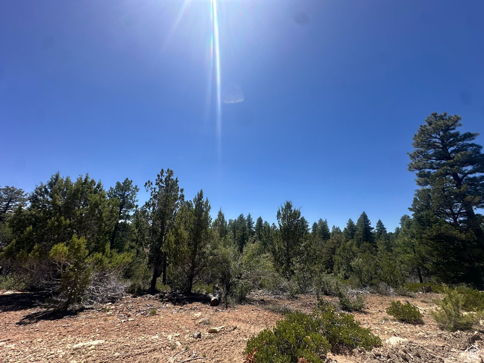 ALL OF LOT 11 BLOCK "I" AMENDED PLAT OF LITTLE  PO - Land