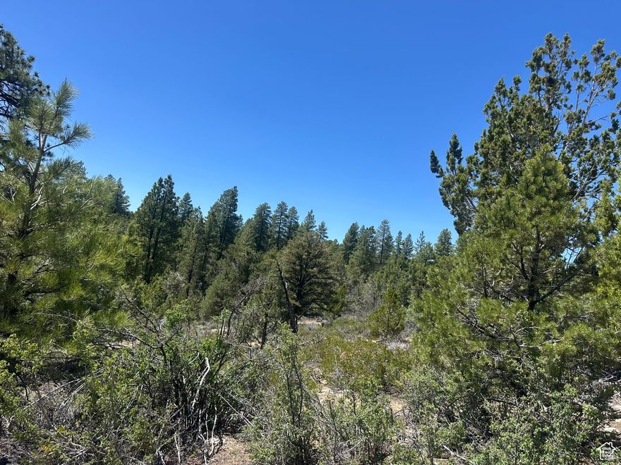 This rare 1.25 acre corner lot is perfectly positioned in the heart of the coveted Little Ponderosa Subdivision-just minutes from Zion National Park's upcoming Eastside Visitor Center, a game-changing development for the East Zion community.  Located at GPS coordinates 37.27141, -112.88469, this property offers unmatched proximity to world-class hiking trails, including Observation Point and Cable Mountain, as well as countless hidden gems within walking distance. Whether you're an outdoor enthusiast or a visionary investor, this lot sits at the gateway to East Zion's next chapter.  The Zion Peak Water Company is actively expanding infrastructure in the area. While this lot currently does not have water connected, it is eligible for hookup, and I can provide full details on how to secure your water access.  Additional Highlights:       Access to 5 miles of brand-new mountain biking trails on the East Rim       Quiet, low-density subdivision with a strong legacy of conservation and community       Ideal timing-get in now before prices rise with the completion of major infrastructure projects Don't miss your chance to own a piece of Zion's legacy. Contact Mark Neeleman today for full details on water rights, land use, and future development potential. This is where the next generation of Zion dreamers will build-will you be one of them?  Square footage figures are provided as a courtesy estimate only and were obtained from Kane County.  Buyer is advised to obtain an independent measurement.