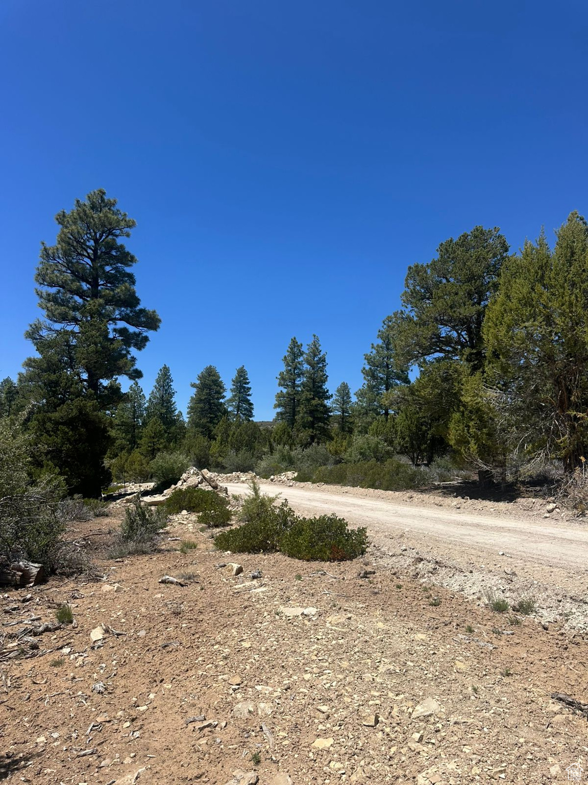 ALL OF LOT 11 BLOCK "I" AMENDED PLAT OF LITTLE  PO - Land