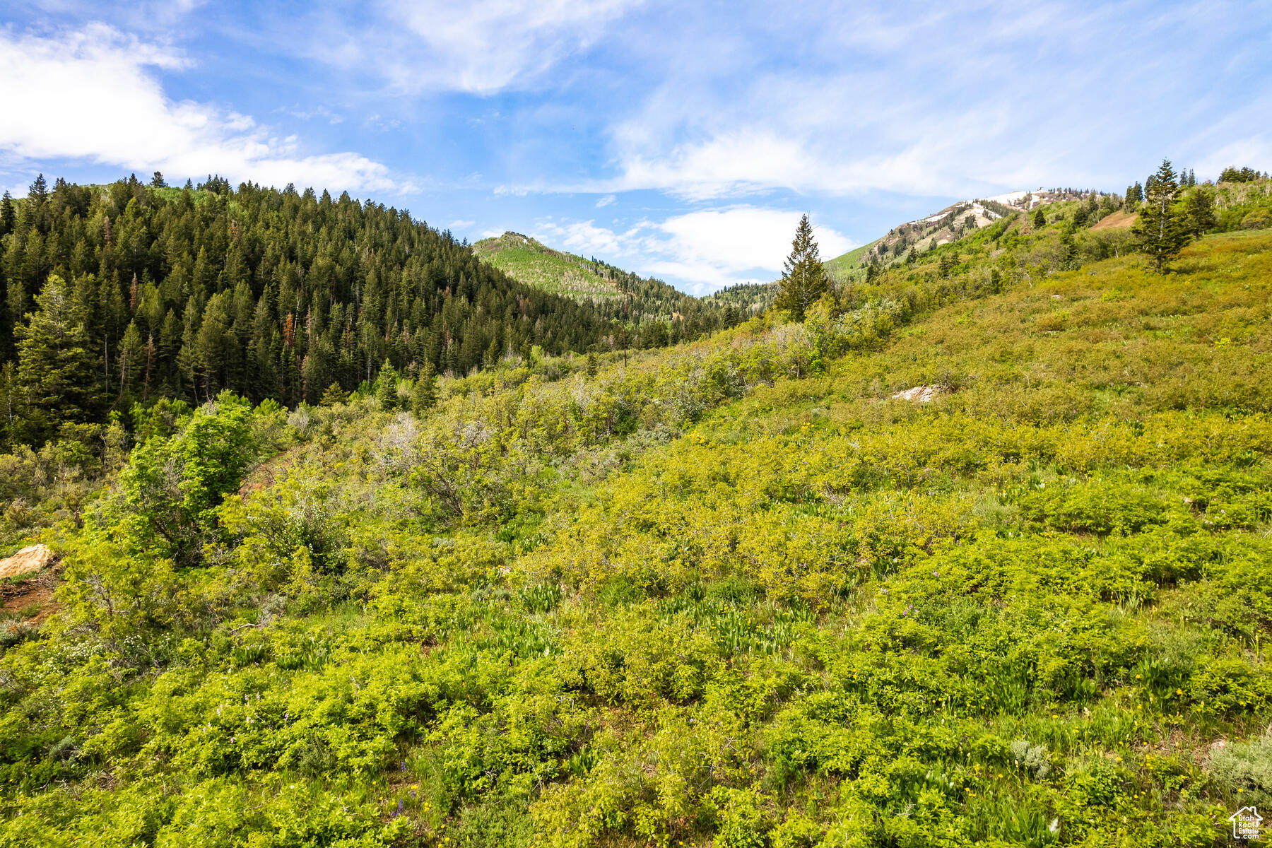 2192 W Norris Ct #72, Park City, Utah image 4