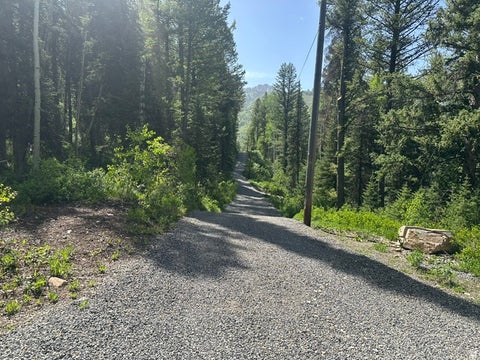 Tiny photo for 9328 E WILD CLEMATIS LN, Brighton, UT 84121 (MLS # 2163245)