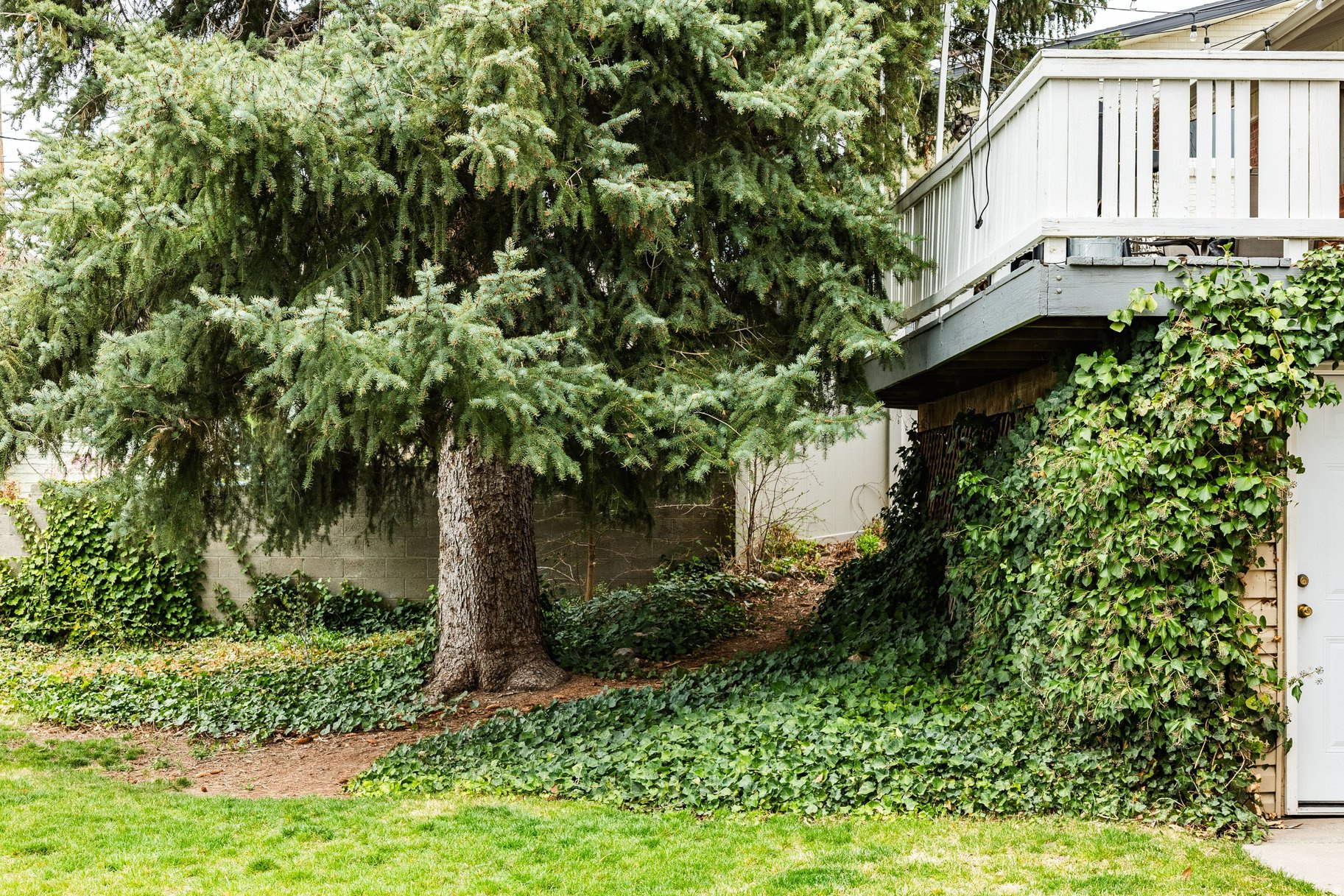 EAST OLYMPUS HEIGHTS - Residential