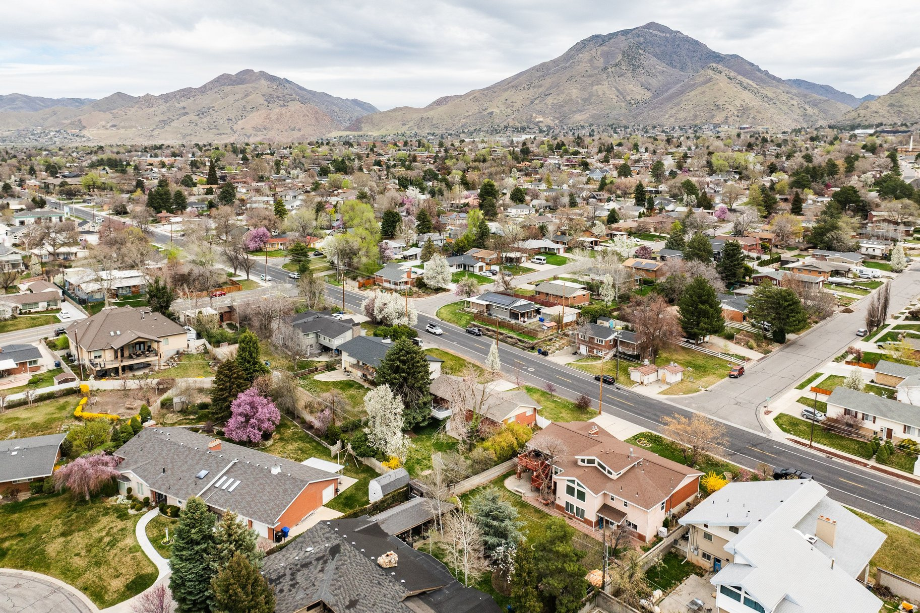 EAST OLYMPUS HEIGHTS - Residential