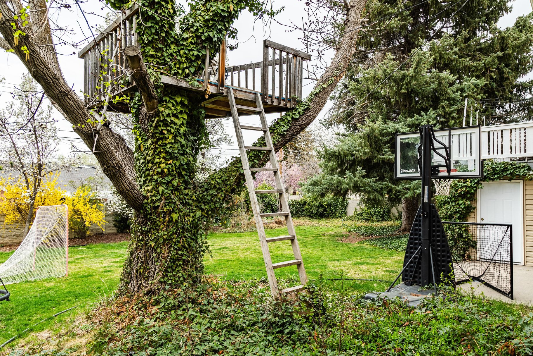 EAST OLYMPUS HEIGHTS - Residential