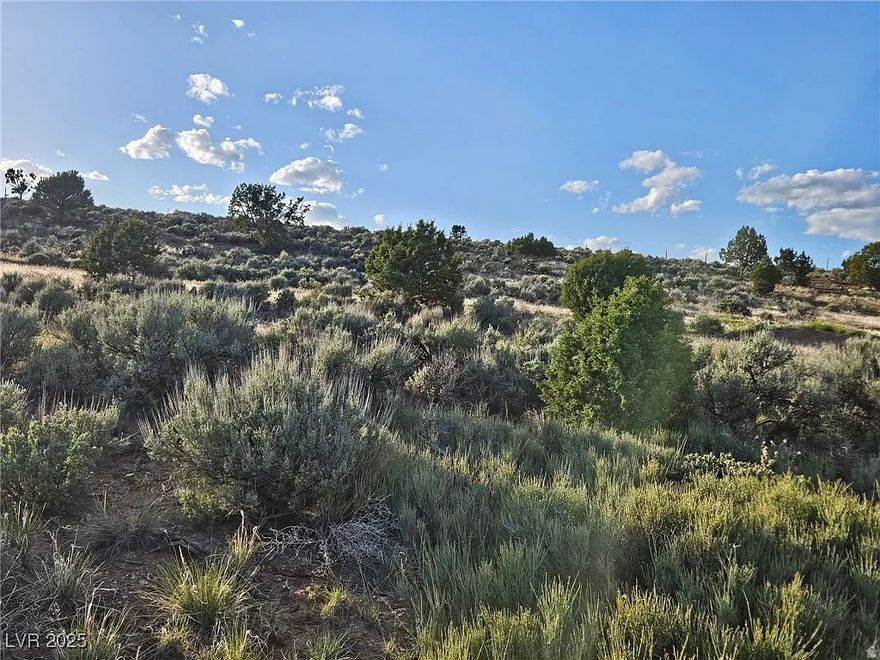 What a beautiful place one of the best lots in Mountain Skys Estates. This property features 5.42 acres, breathtaking views and serene nature. Power is available and animal rights are allowed. Ideal place for your horses and livestock. Access is year round.