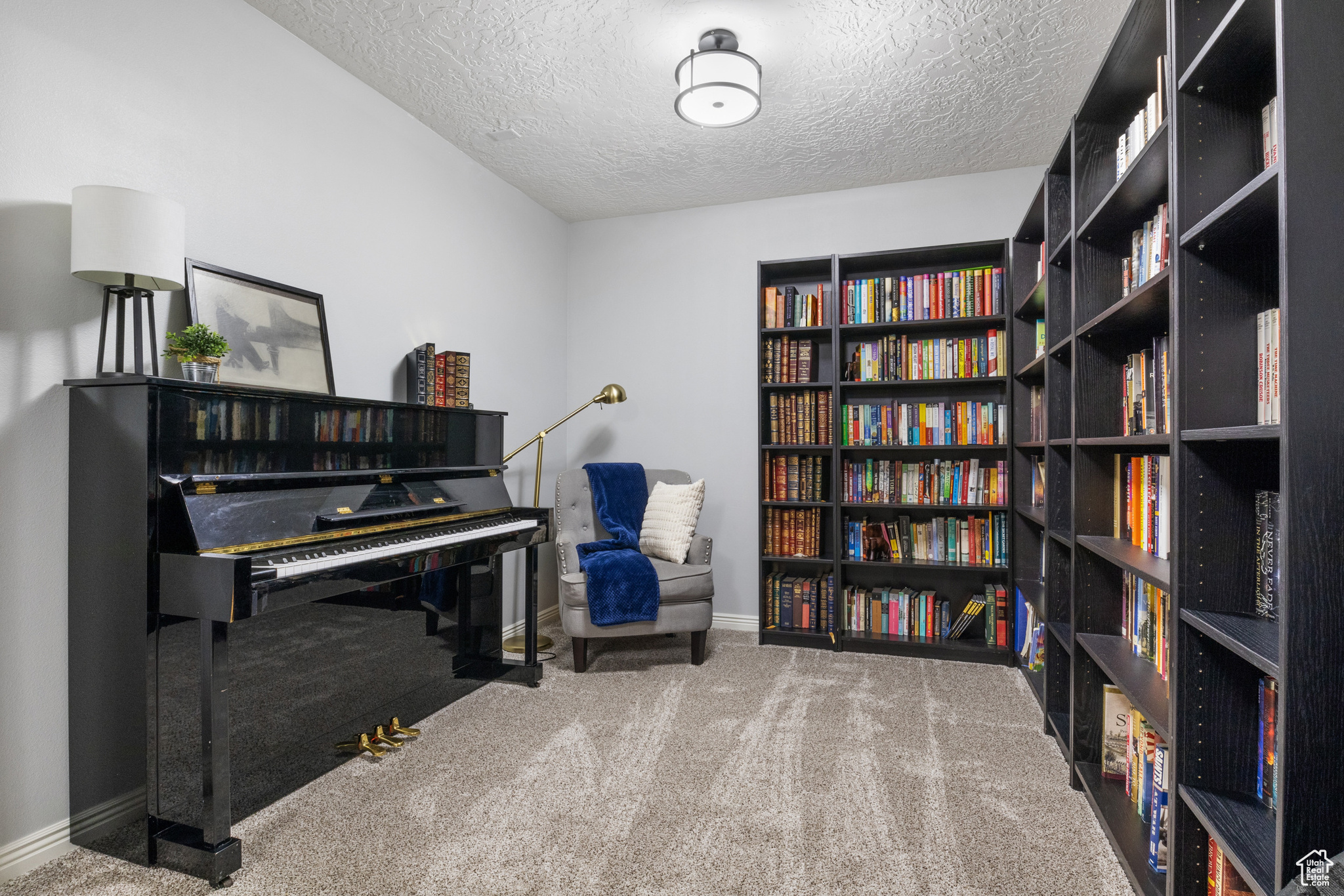 486 N 200, Santaquin, Utah image 11