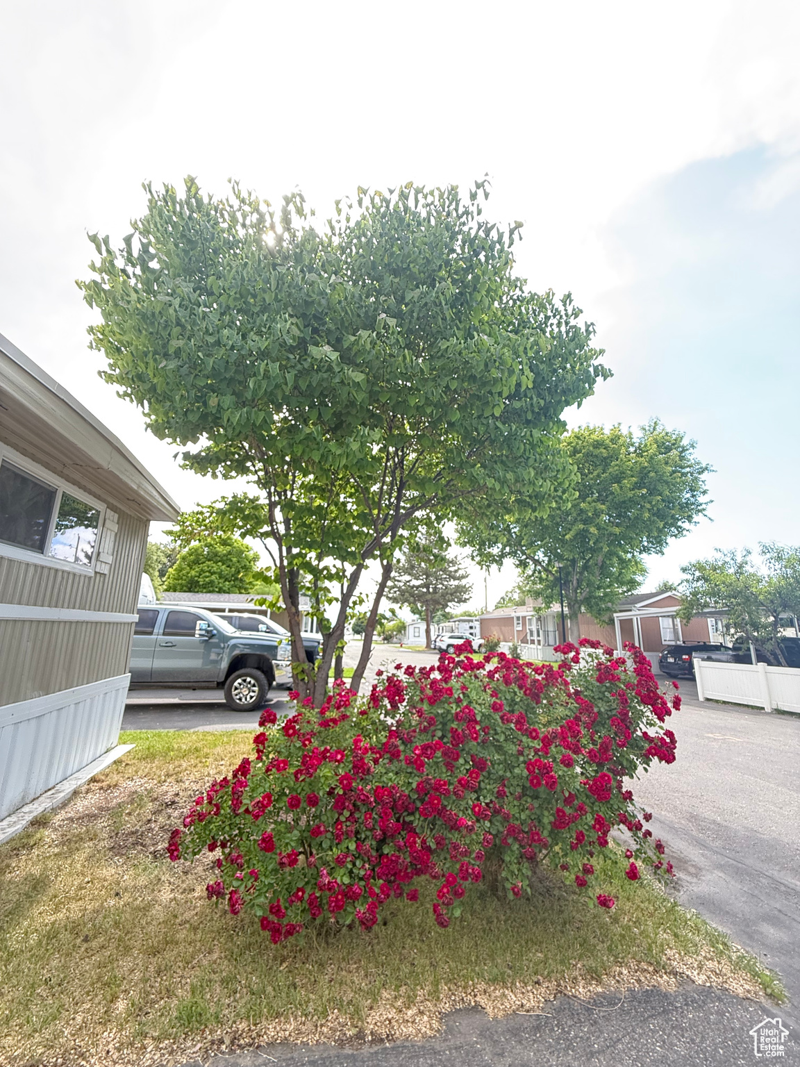 56 E Apollo Way, Sandy, Utah image 4