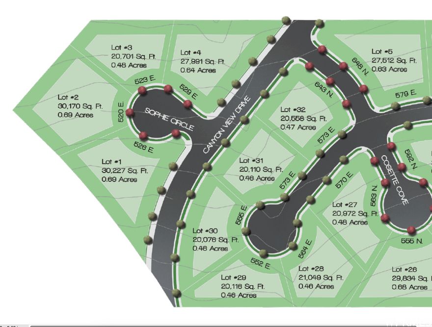 New Freeway Access is Open! Welcome to the amazing Longview Meadow Estates, a fully custom neighborhood. This listing is for Lot 30 which is and East facing lot conveniently located at the top of a cul-de-sac. Come build the home of your dreams on this beautiful .46 acre lot. Need help finding a custom builder? We are happy to introduce you to our various custom builders!