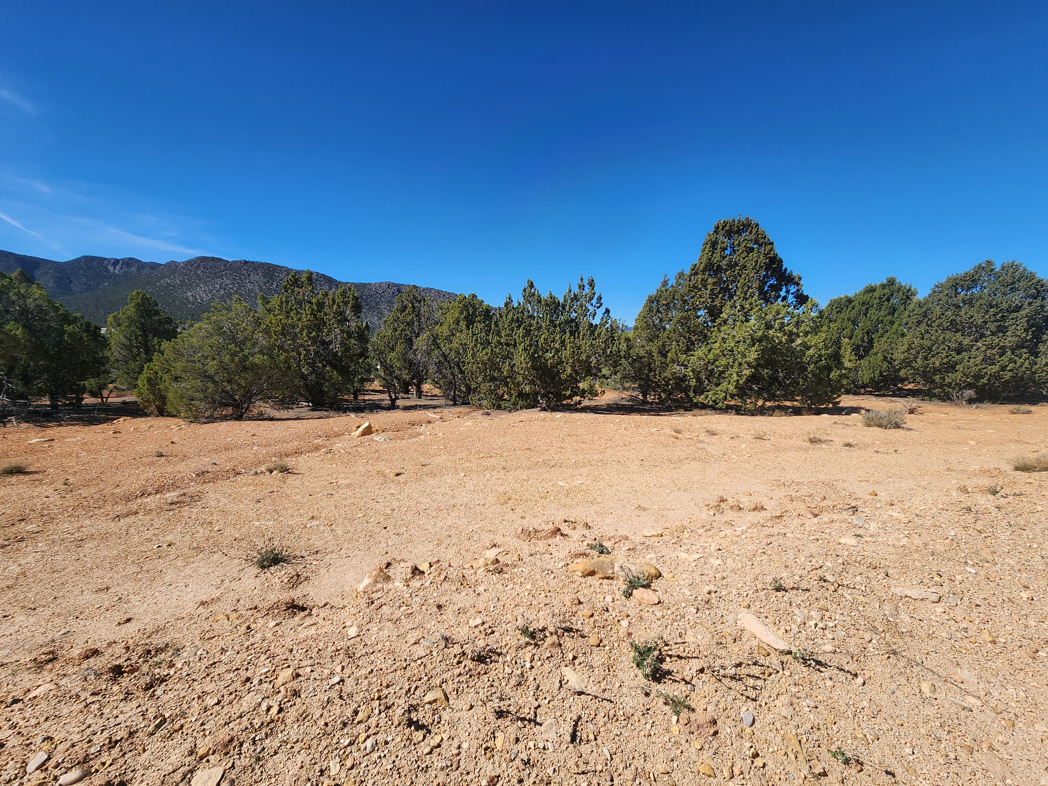 OLD IRONTOWN SUBDIVISION - Land