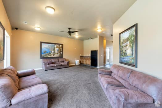 VILLAS AT MAPLEWOOD - Residential