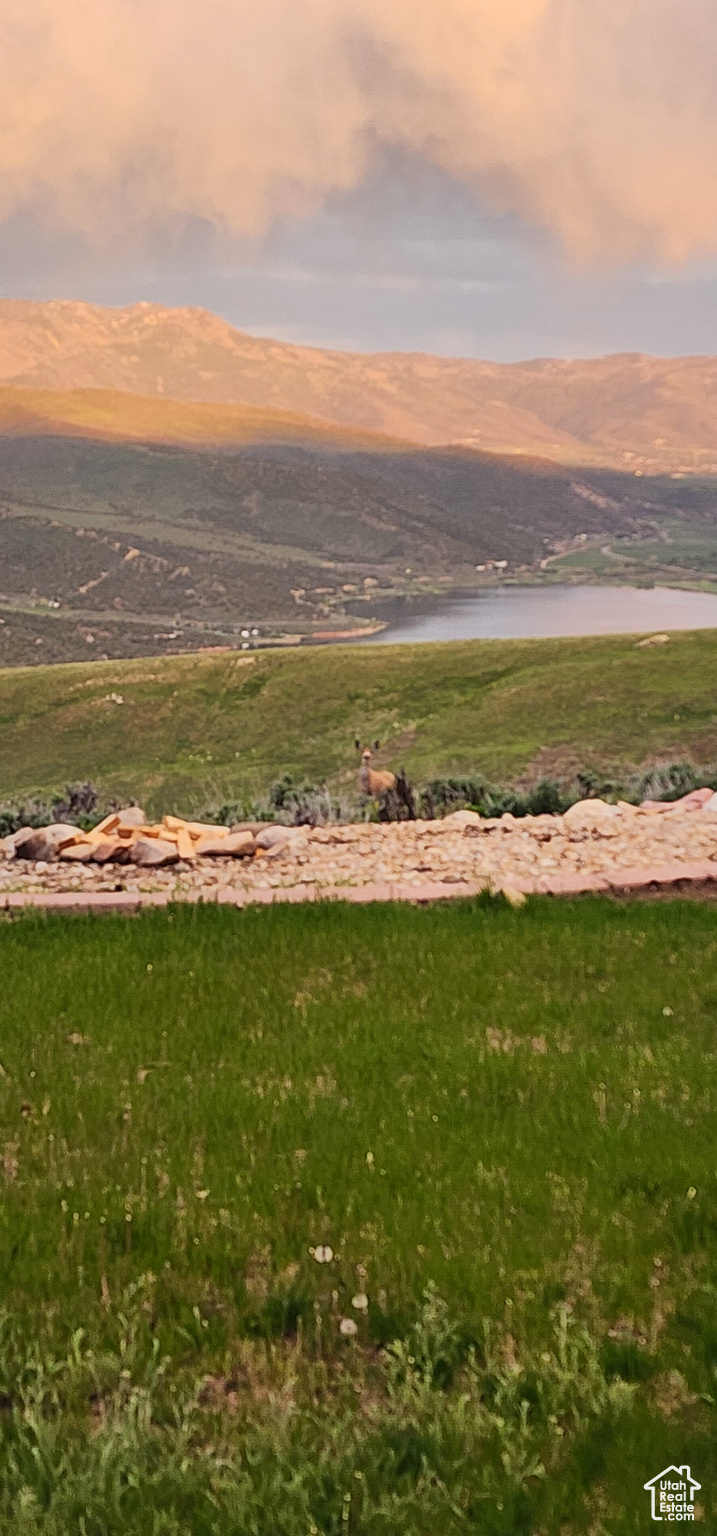 DEER HAVEN AT BRIDGE HOLLOW - Residential